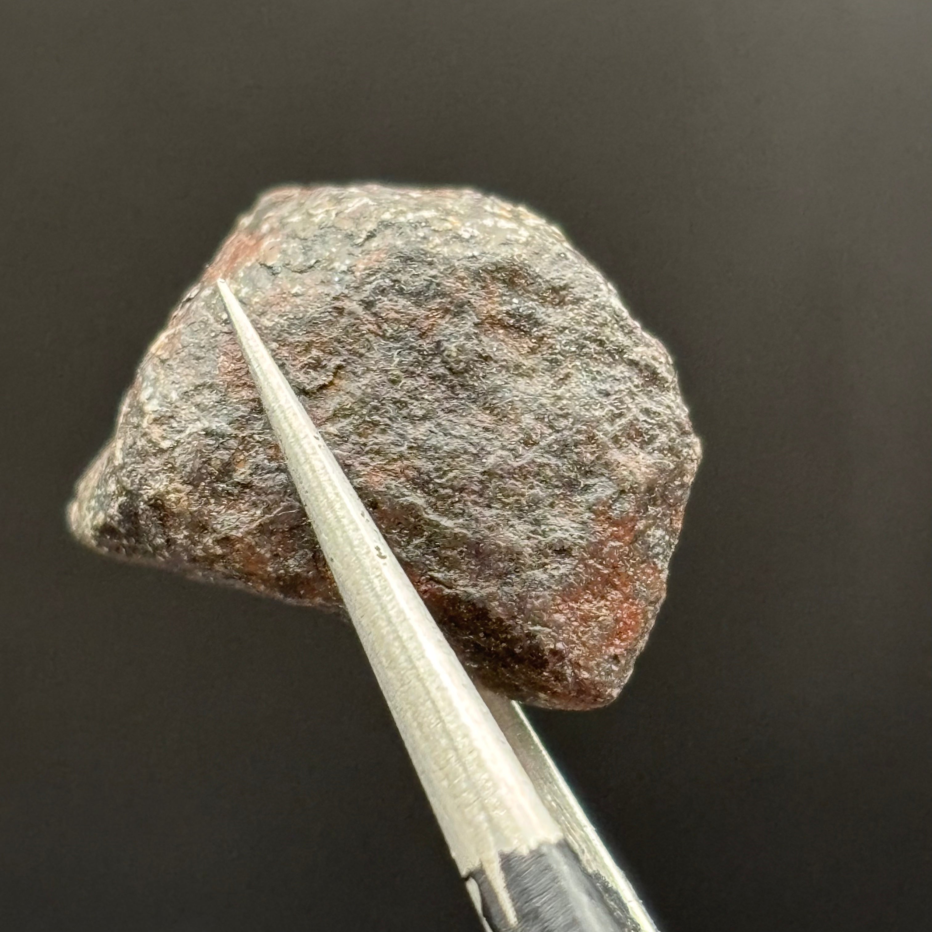 Meteorite, Half-Polished - 021