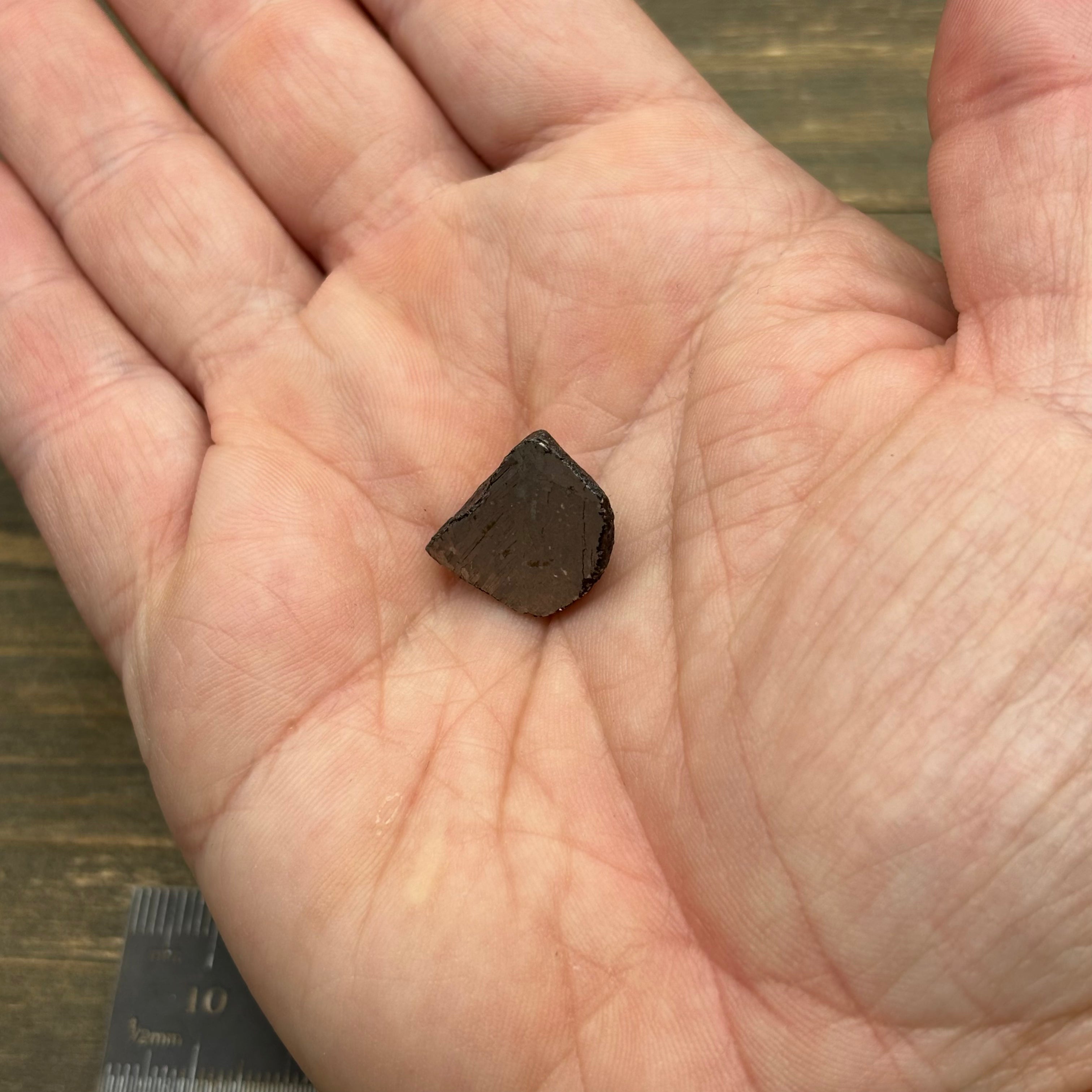Meteorite, Half-Polished - 021