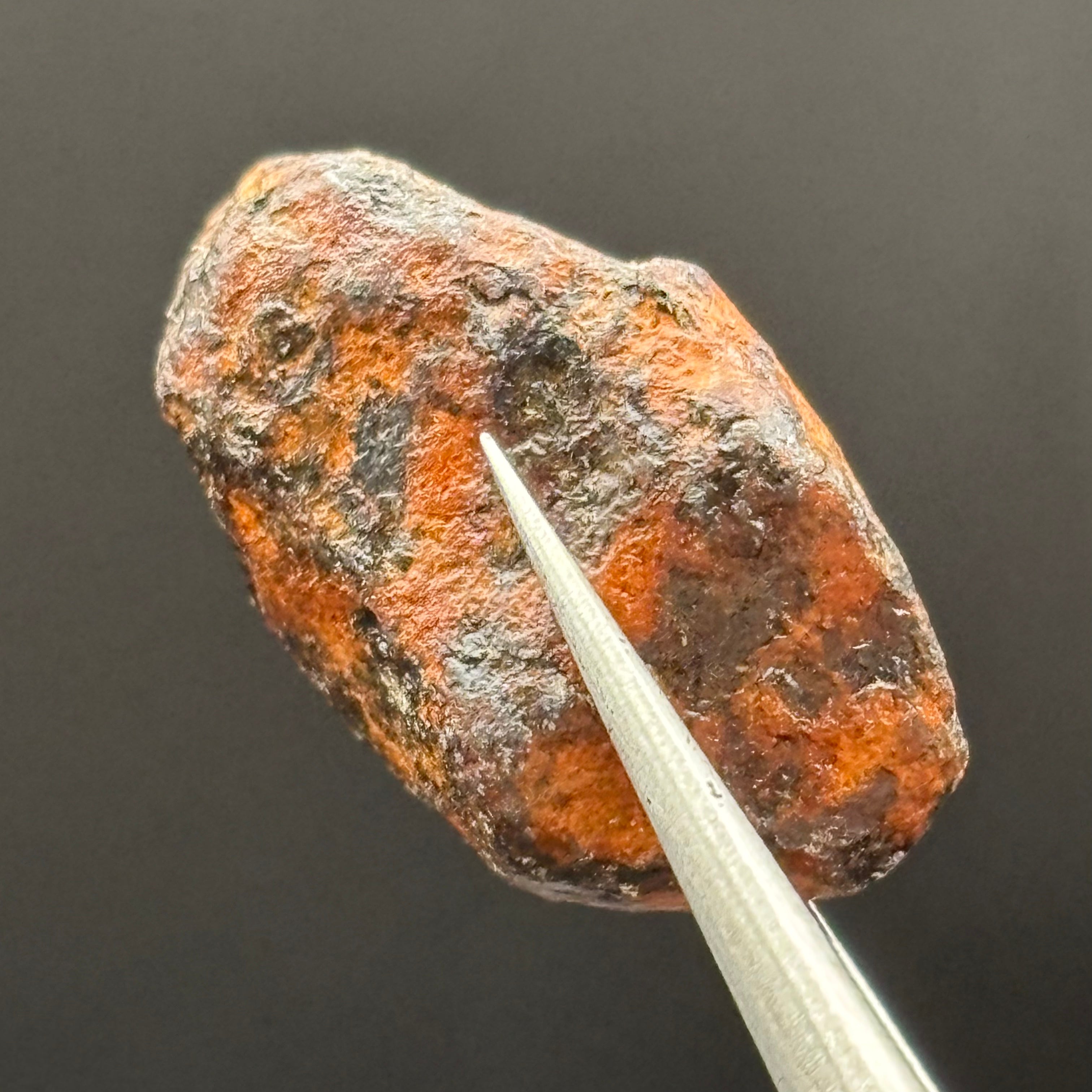 Meteorite, Half-Polished - 022