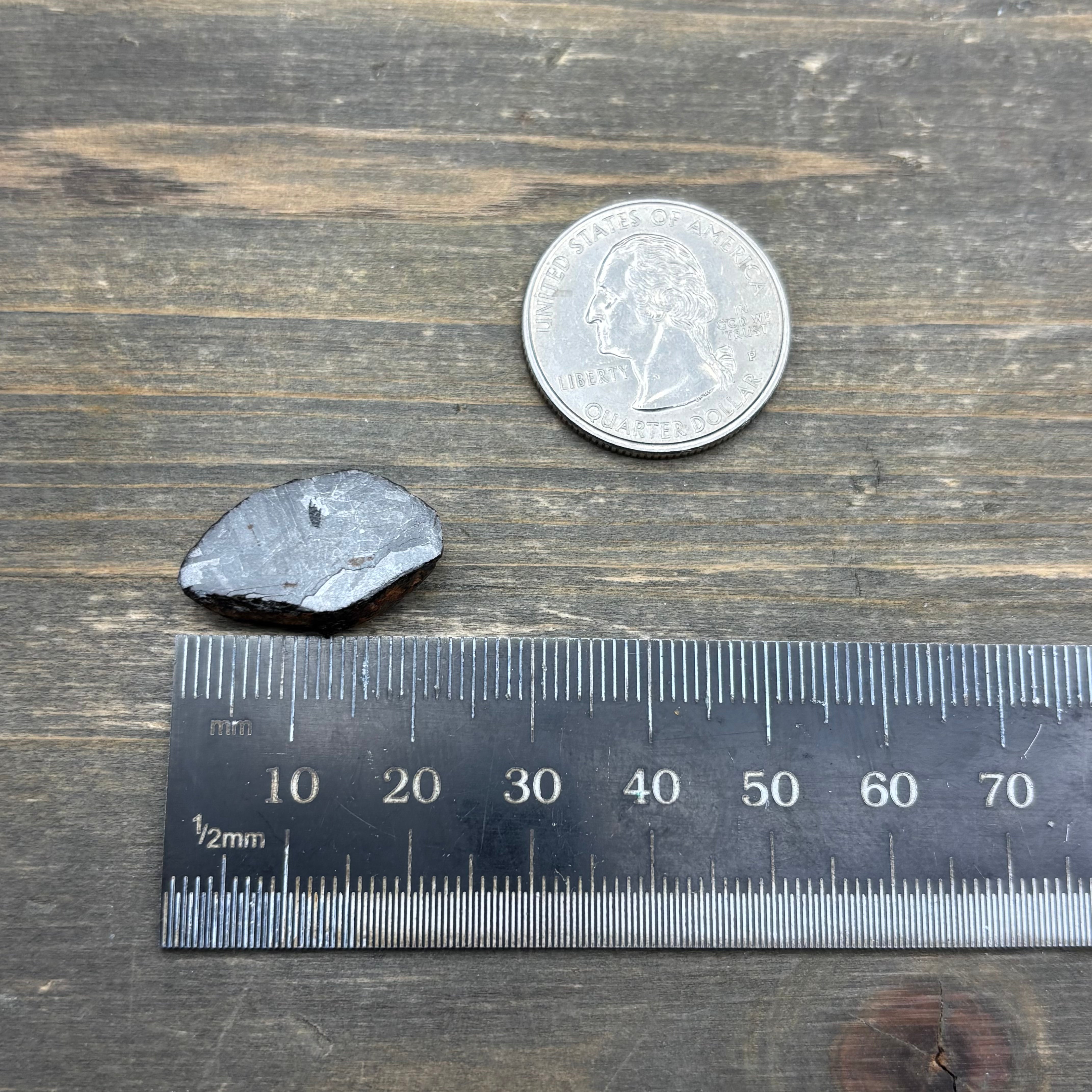 Meteorite, Half-Polished - 022