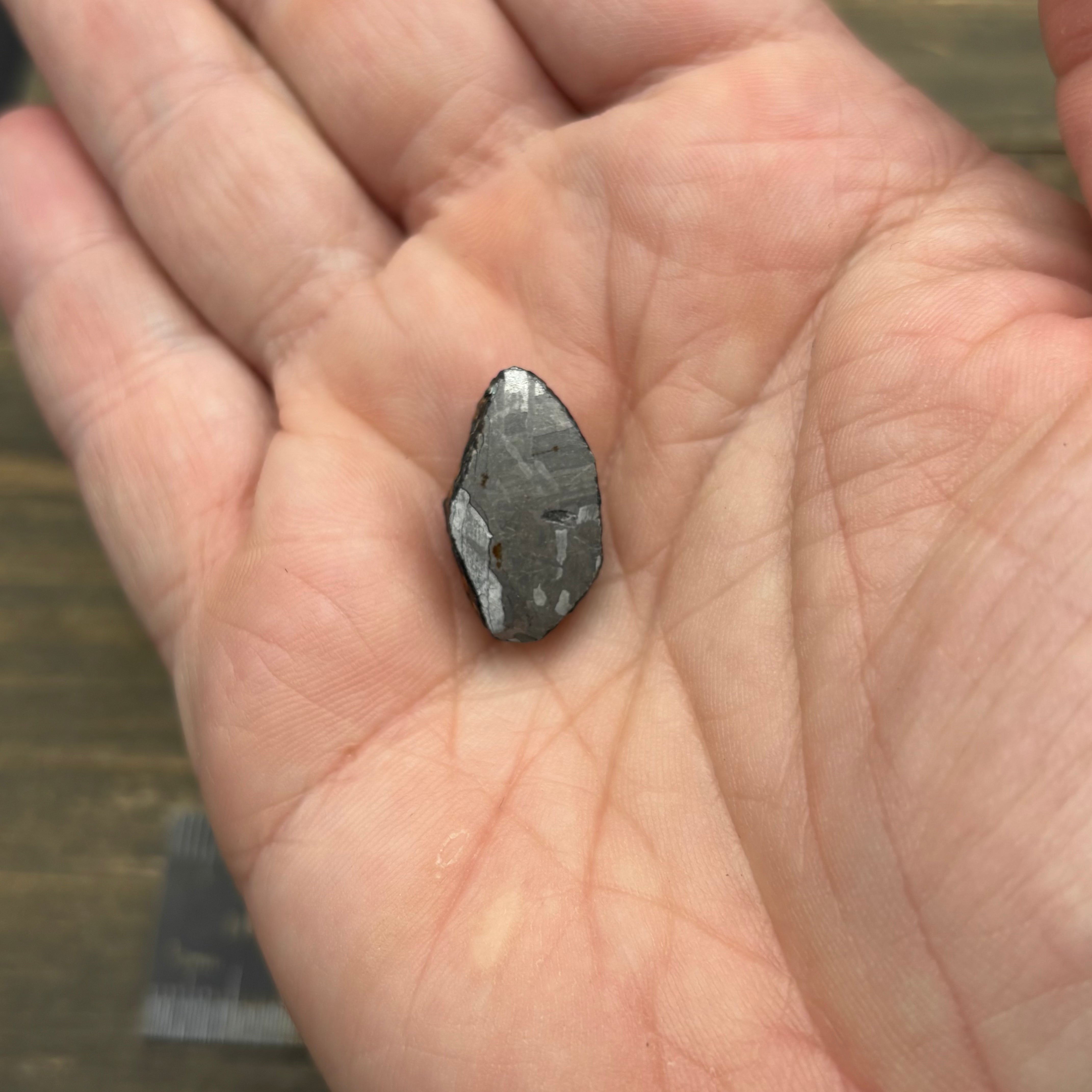 Meteorite, Half-Polished - 022