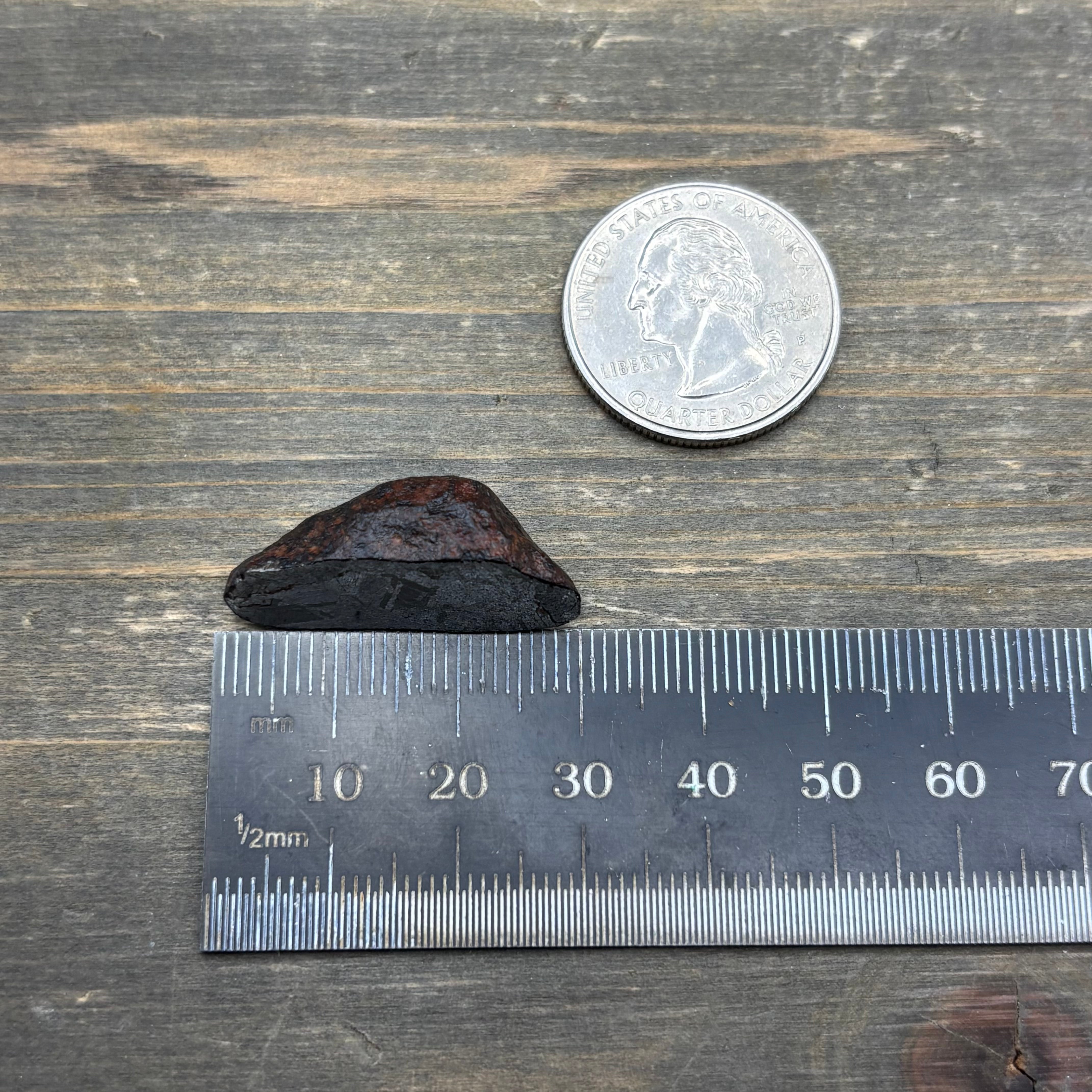 Meteorite, Half-Polished - 025