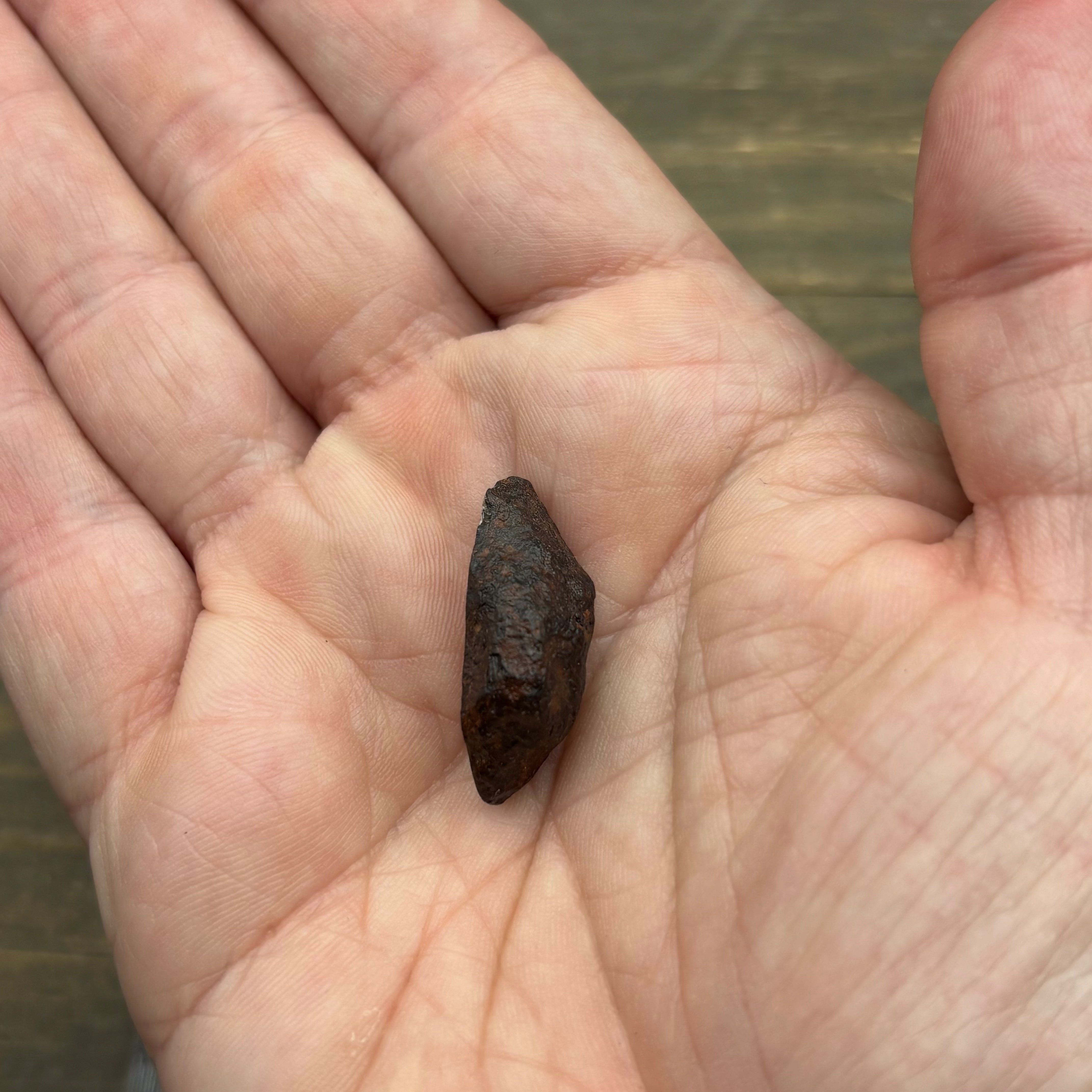 Meteorite, Half-Polished - 025