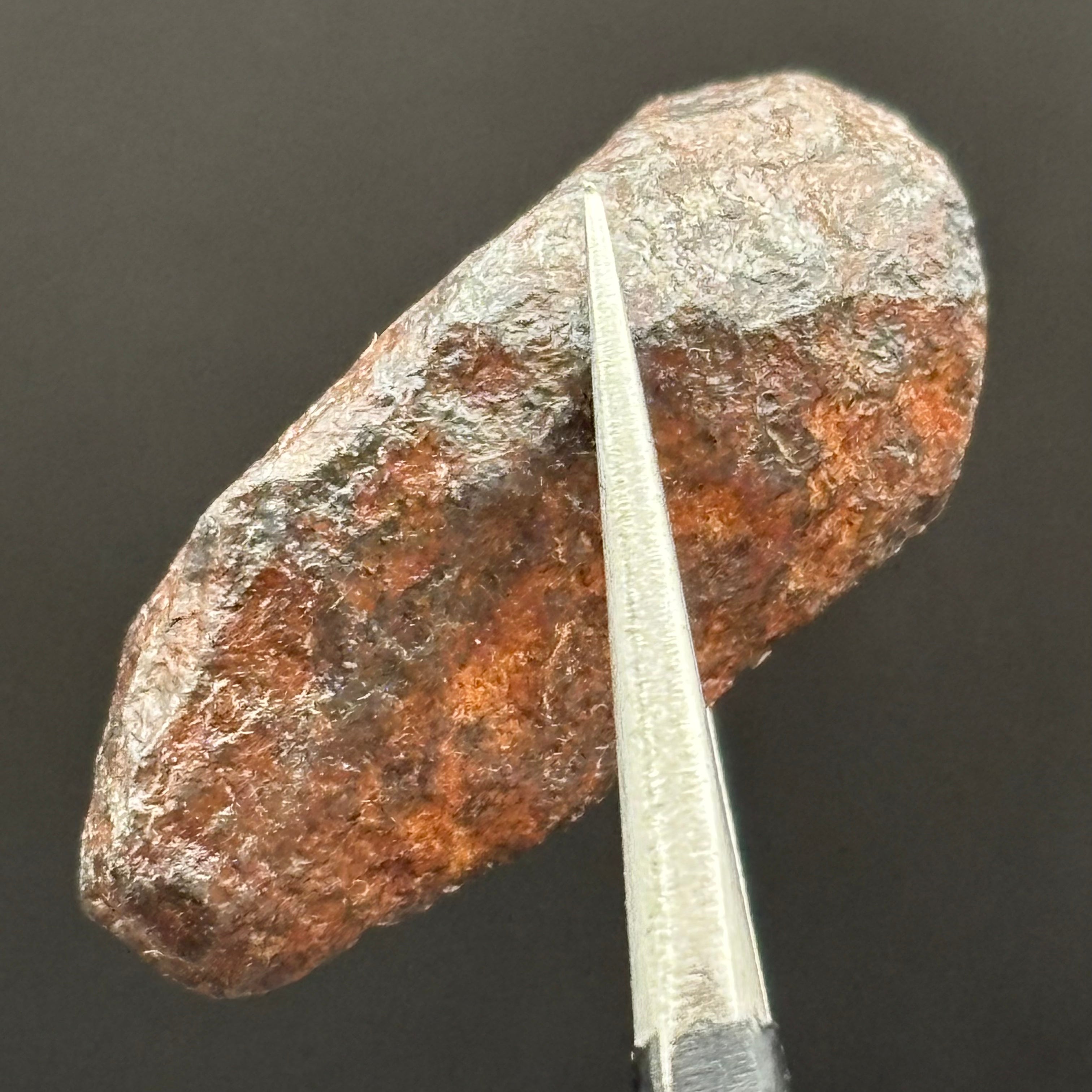 Meteorite, Half-Polished - 026