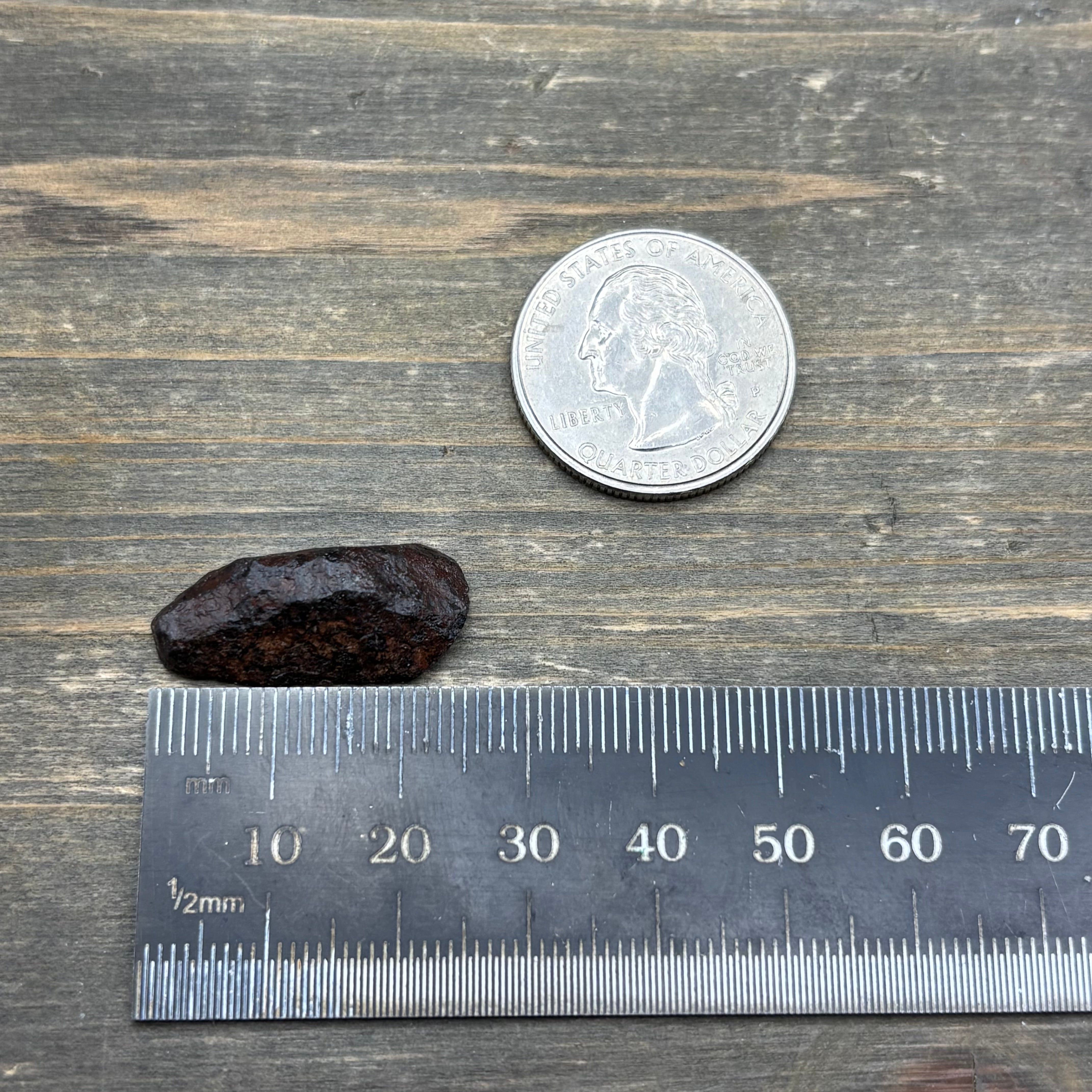 Meteorite, Half-Polished - 026