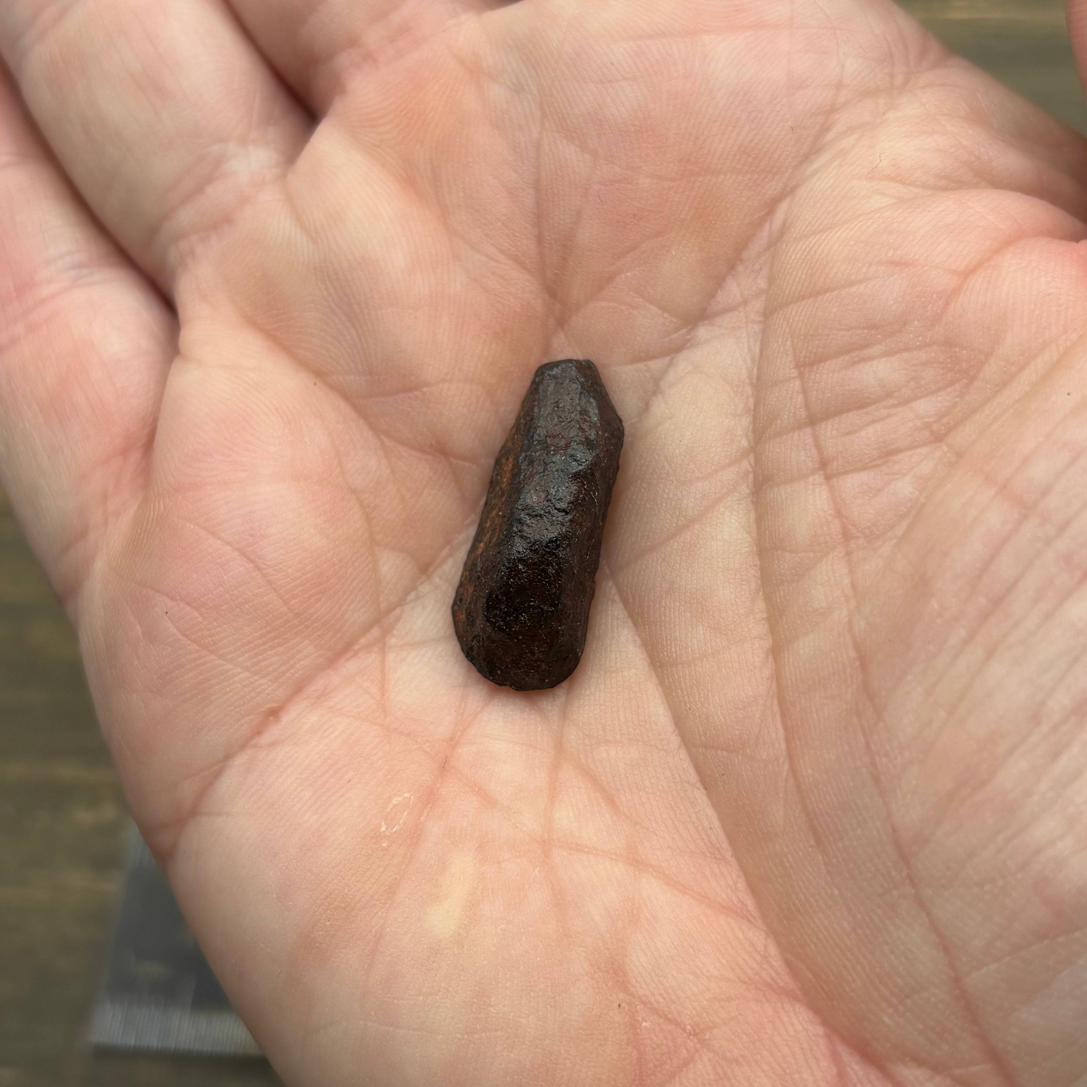 Meteorite, Half-Polished - 026