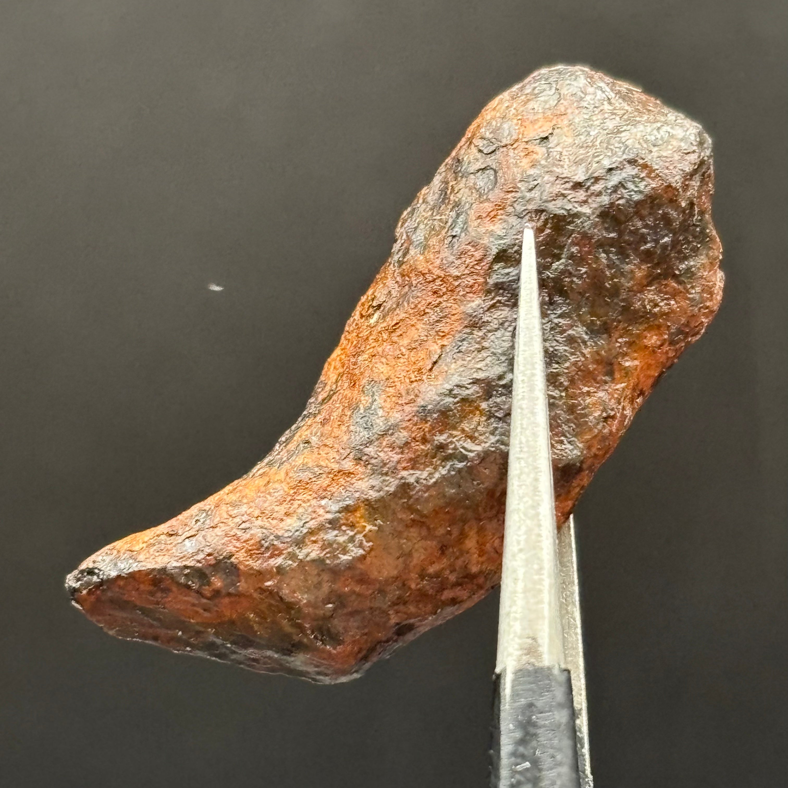 Meteorite, Half-Polished - 027