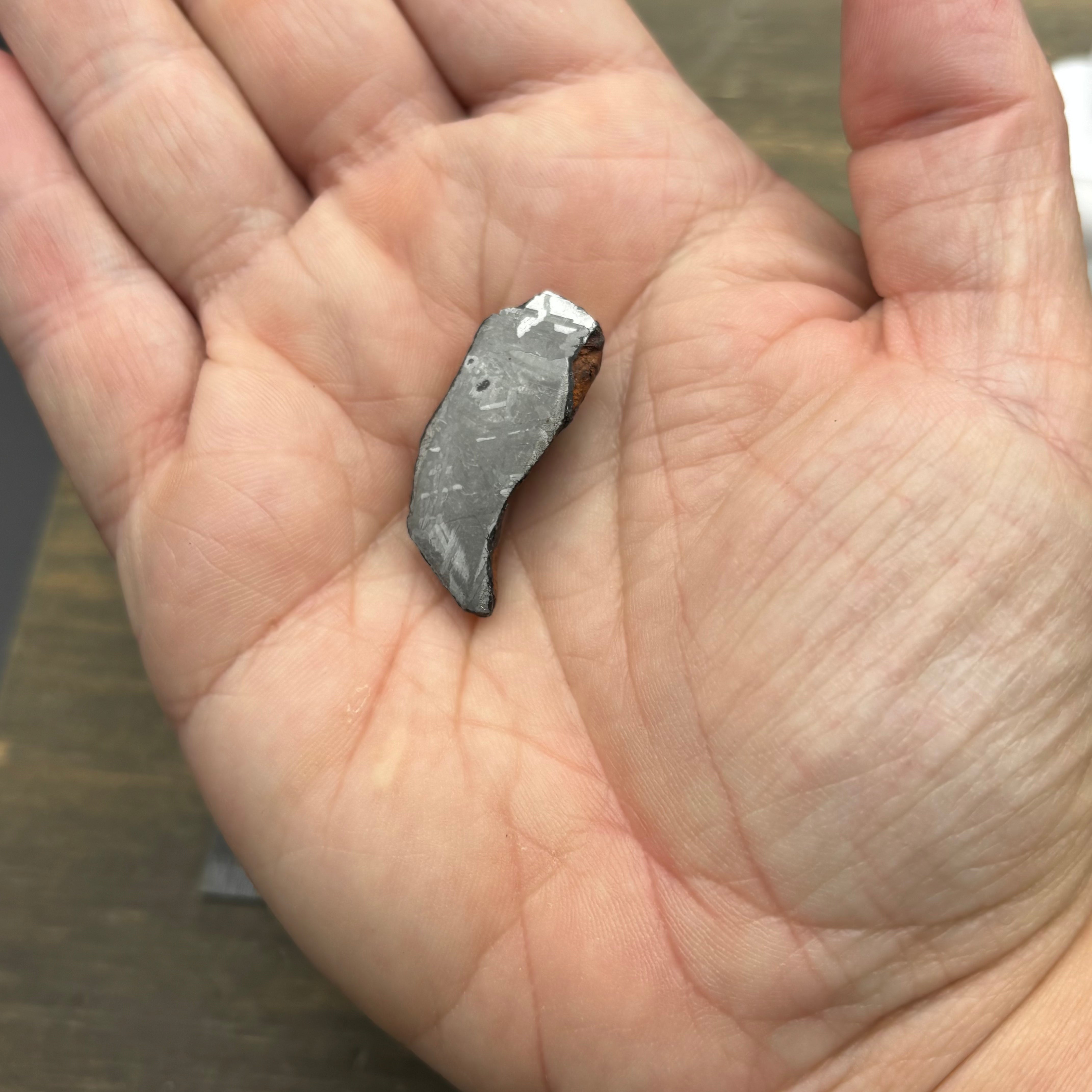 Meteorite, Half-Polished - 027