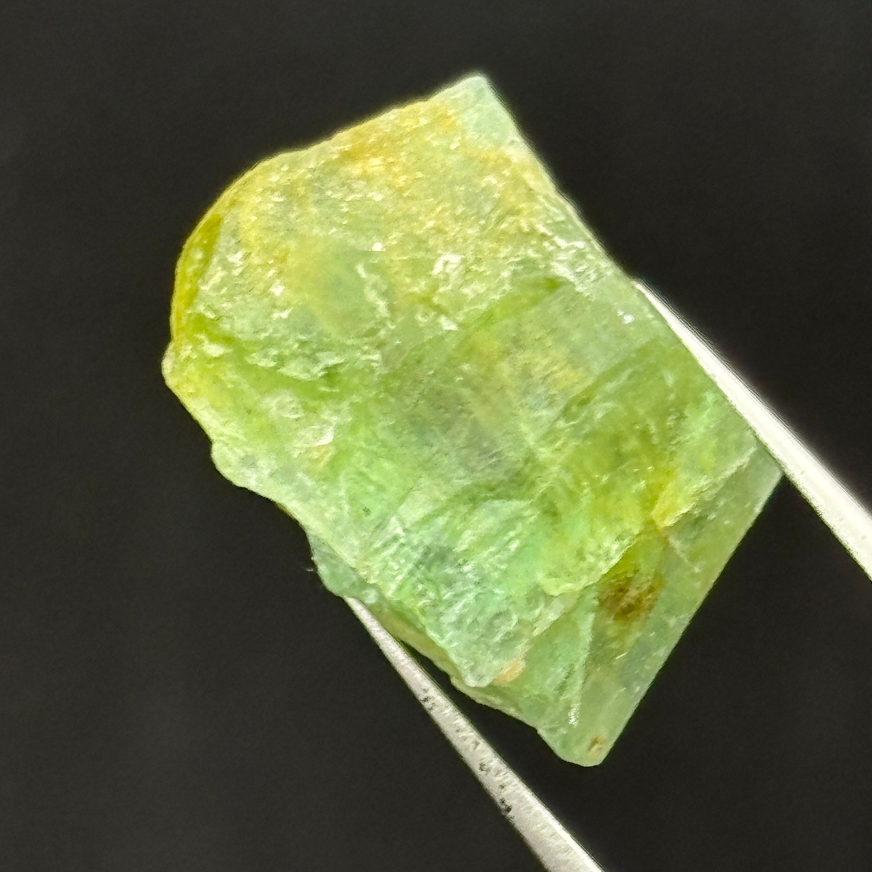 Himalayan Emerald - 017