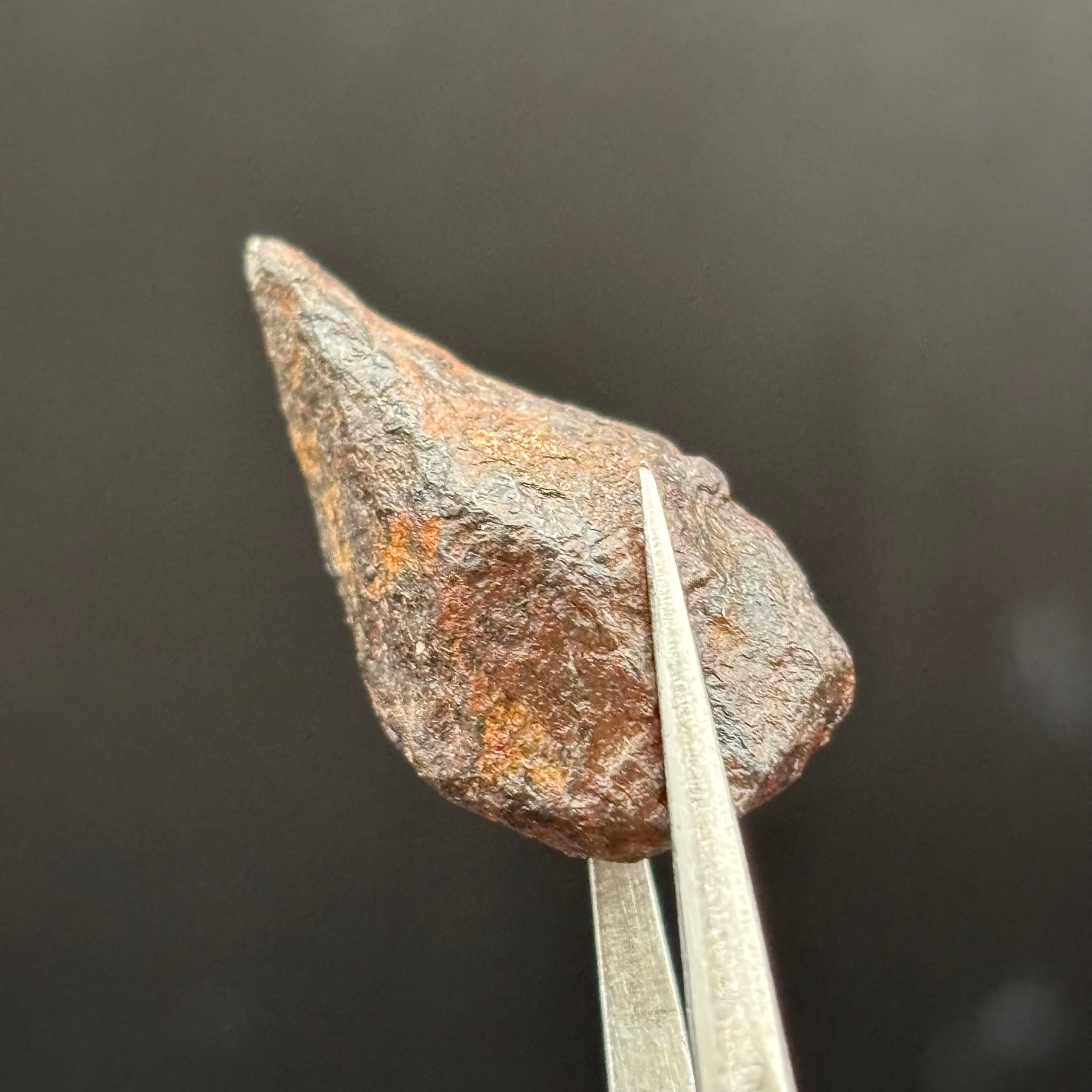 Meteorite, Half-Polished - 028