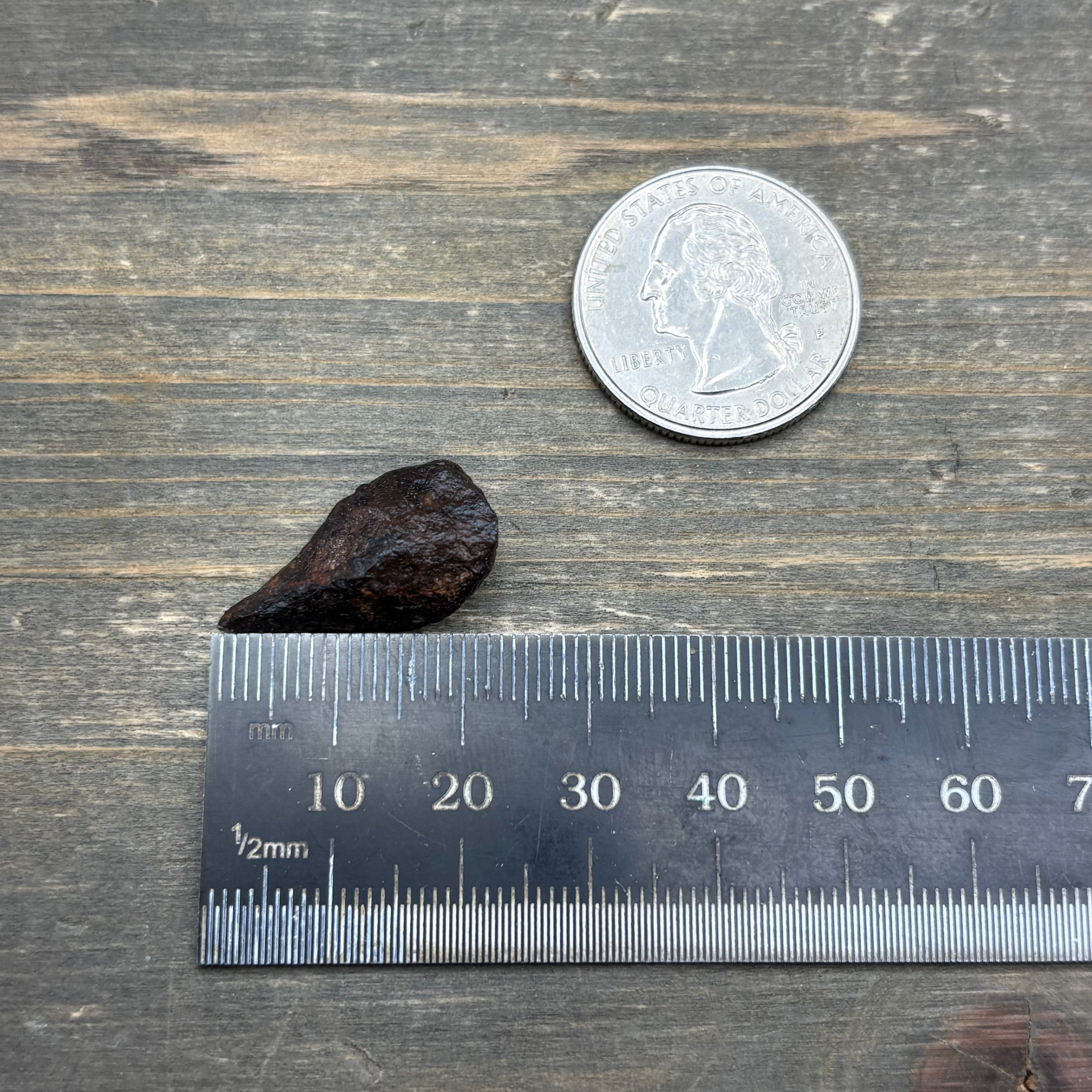 Meteorite, Half-Polished - 028