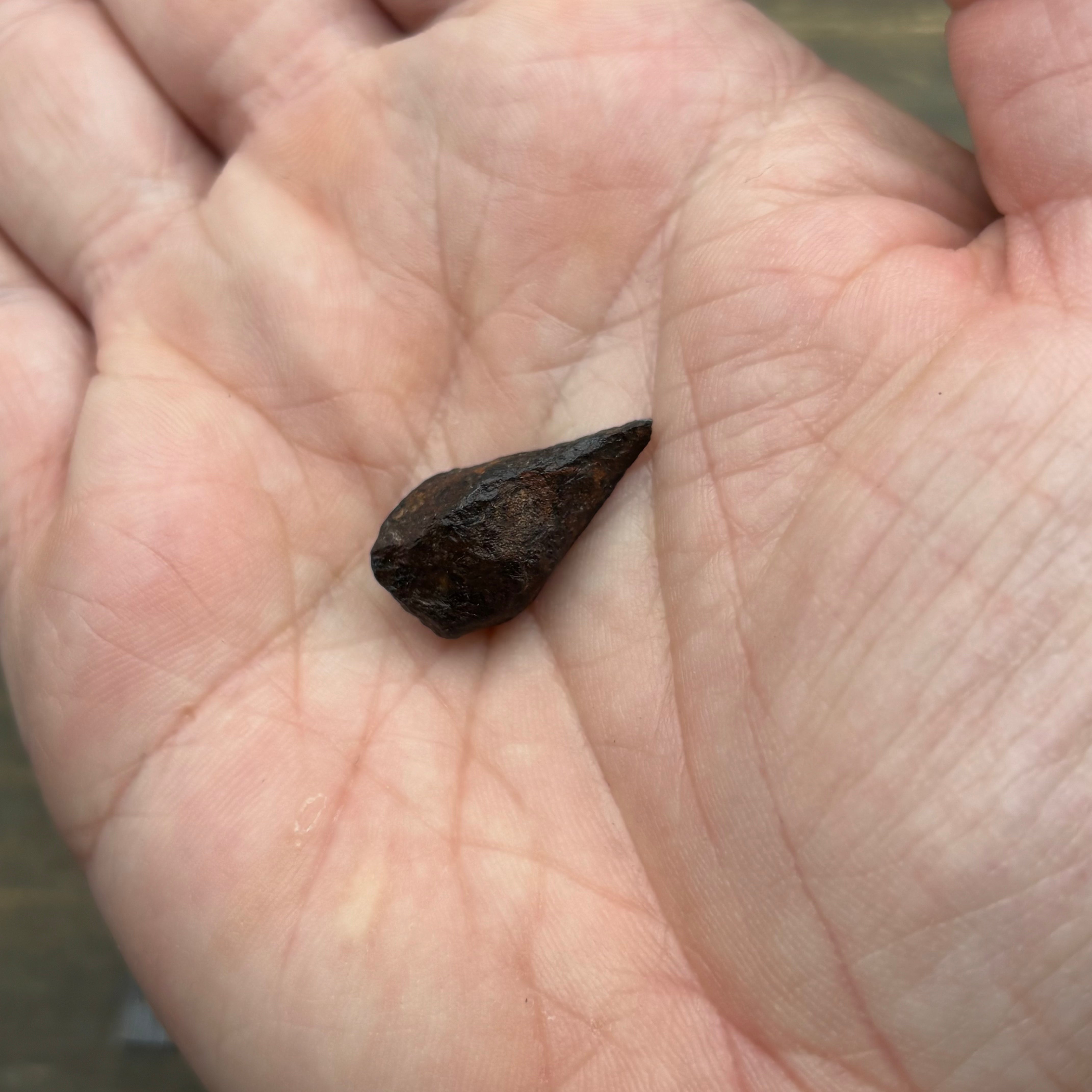 Meteorite, Half-Polished - 028