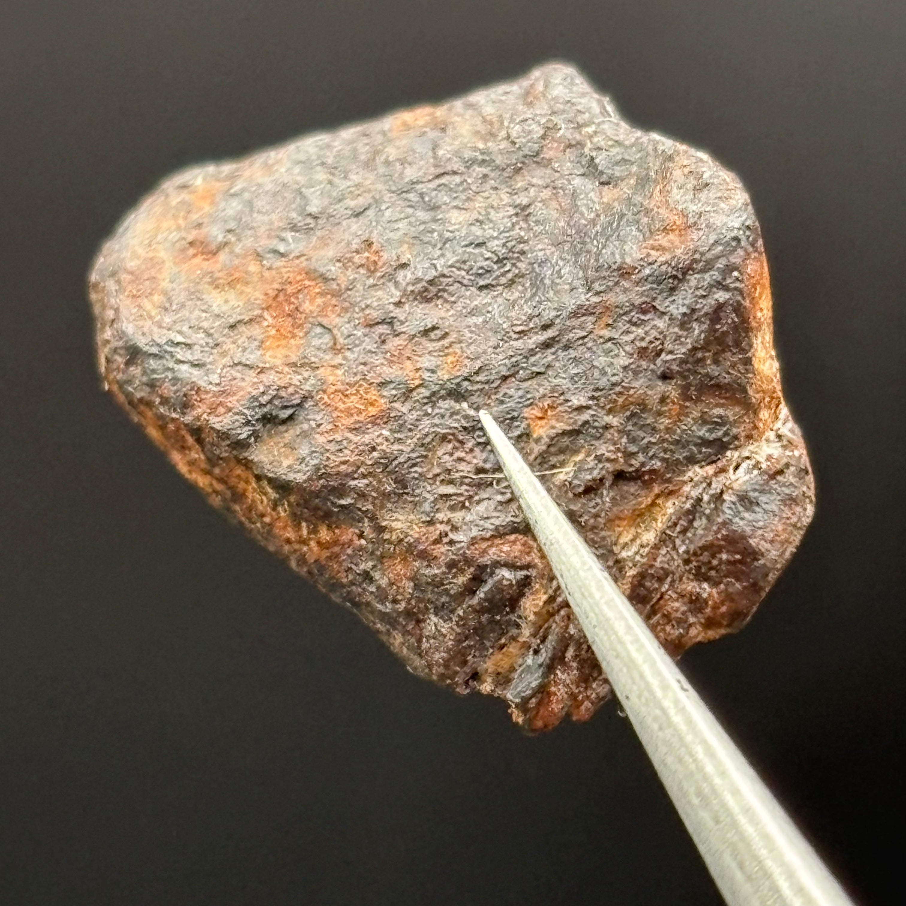 Meteorite, Half-Polished - 029