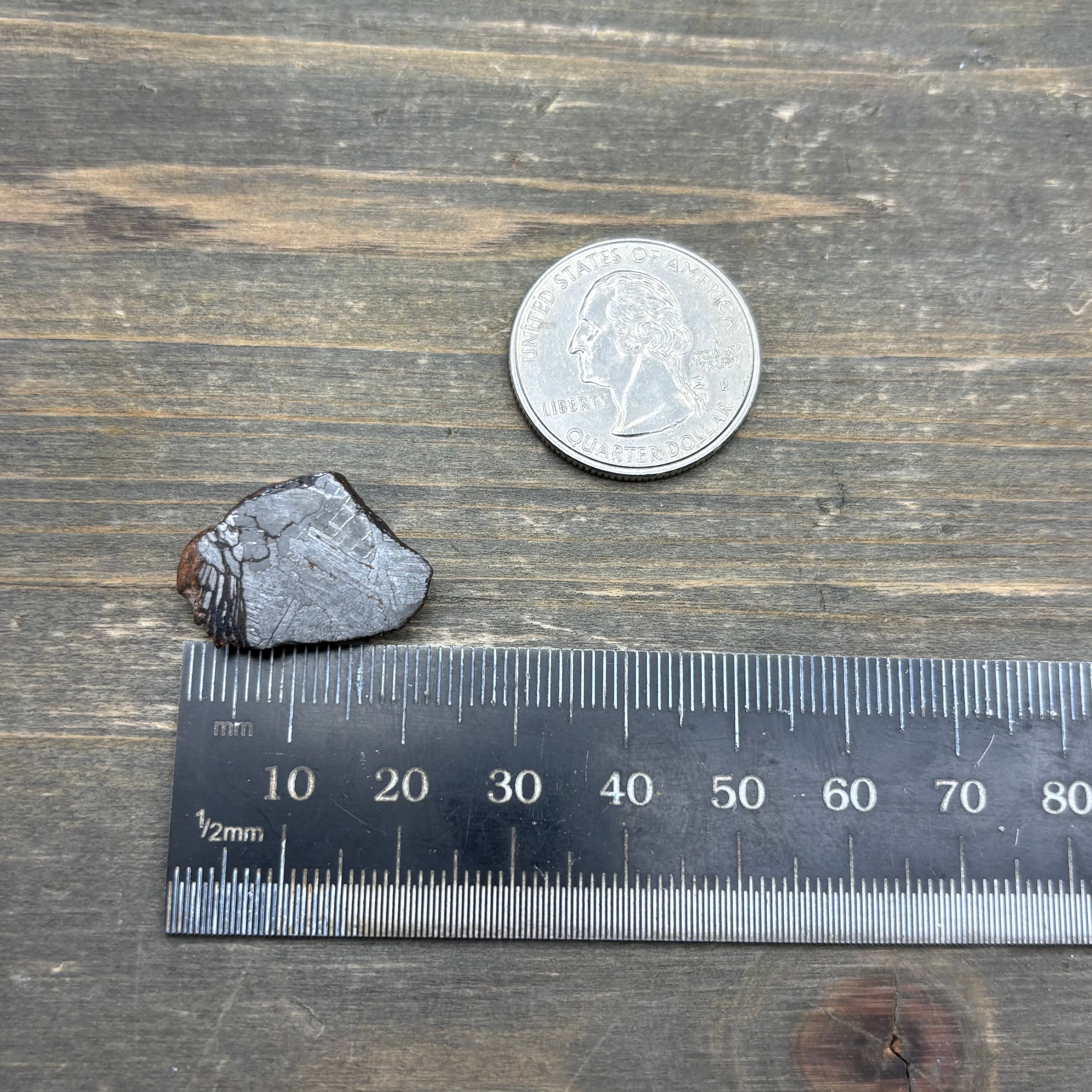 Meteorite, Half-Polished - 029