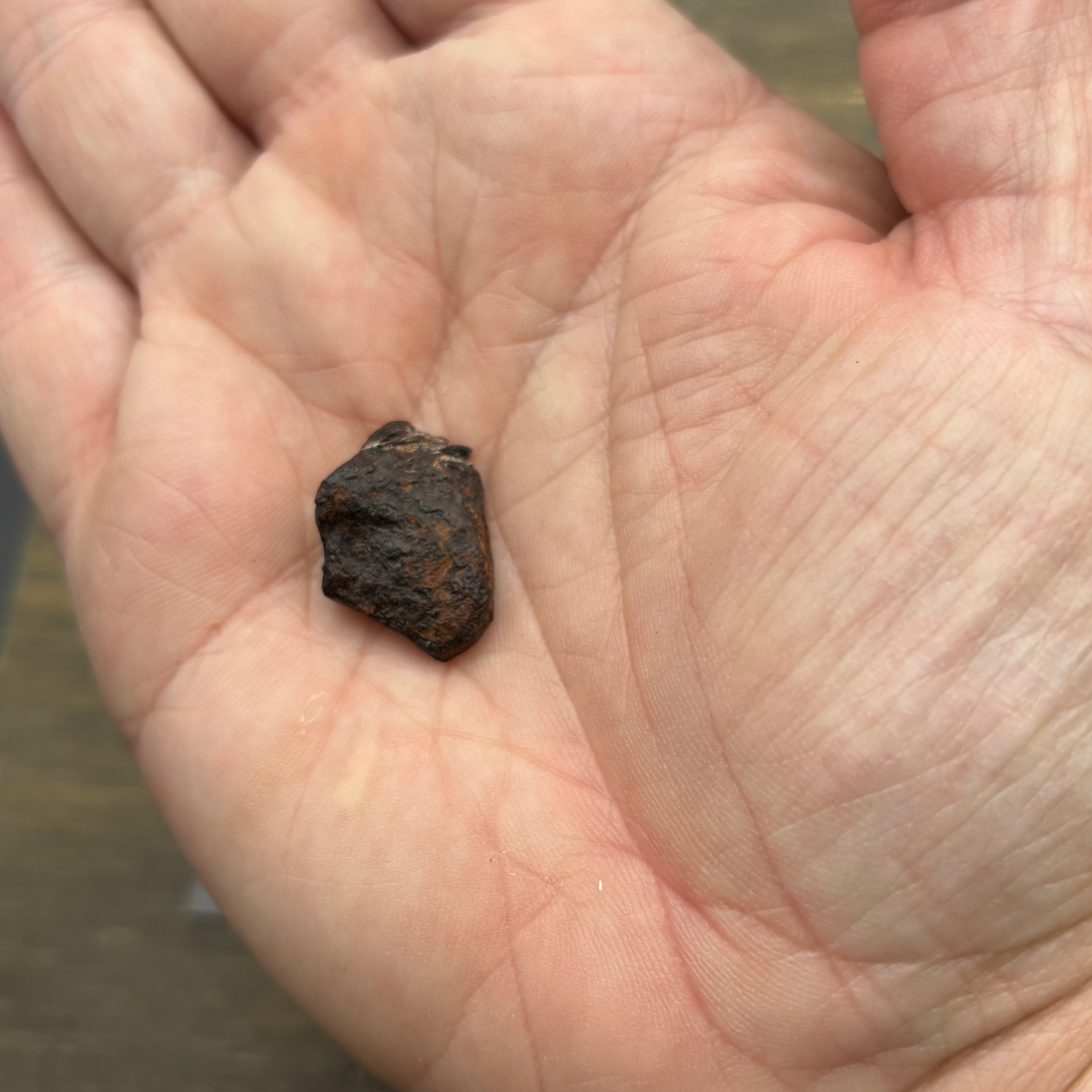Meteorite, Half-Polished - 029