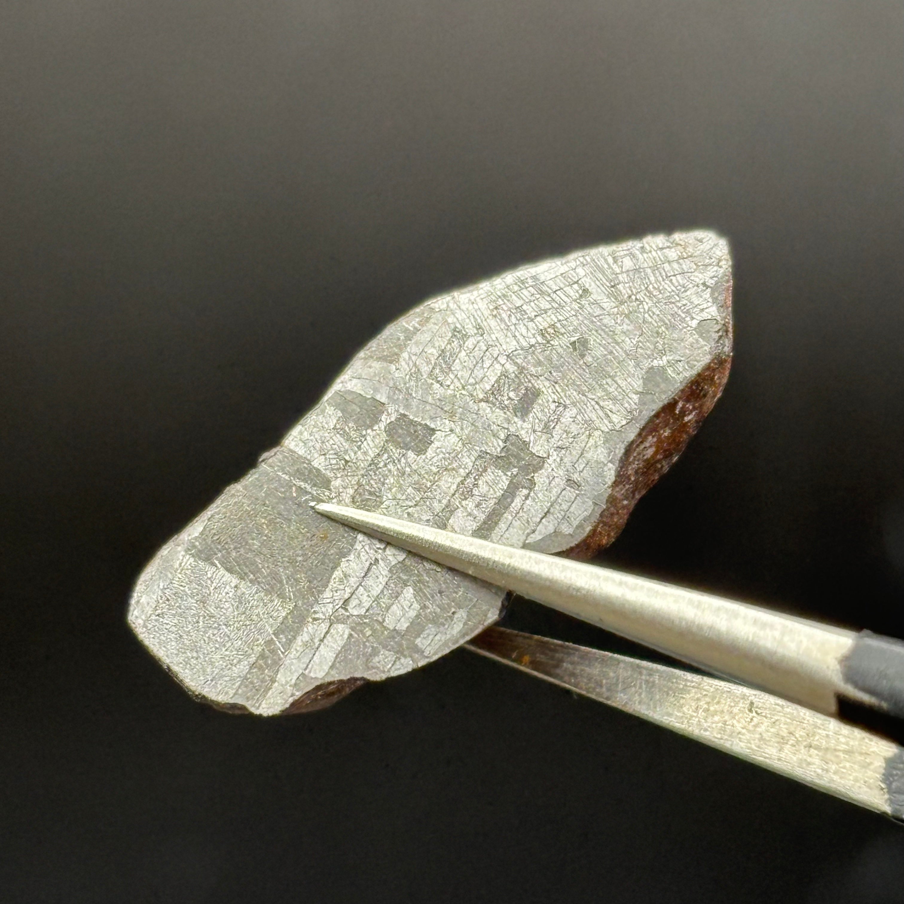 Meteorite, Half-Polished - 030