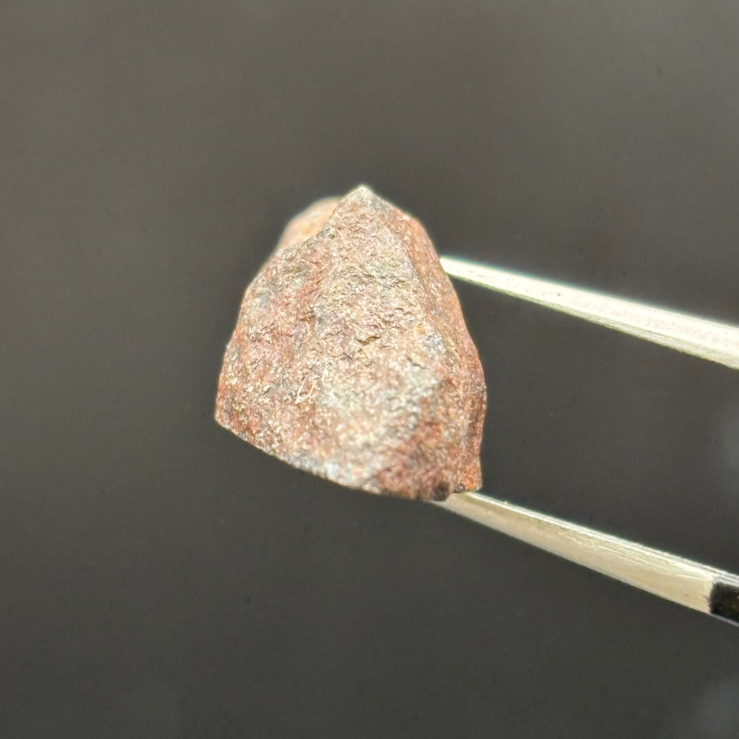 Meteorite, Half-Polished - 030