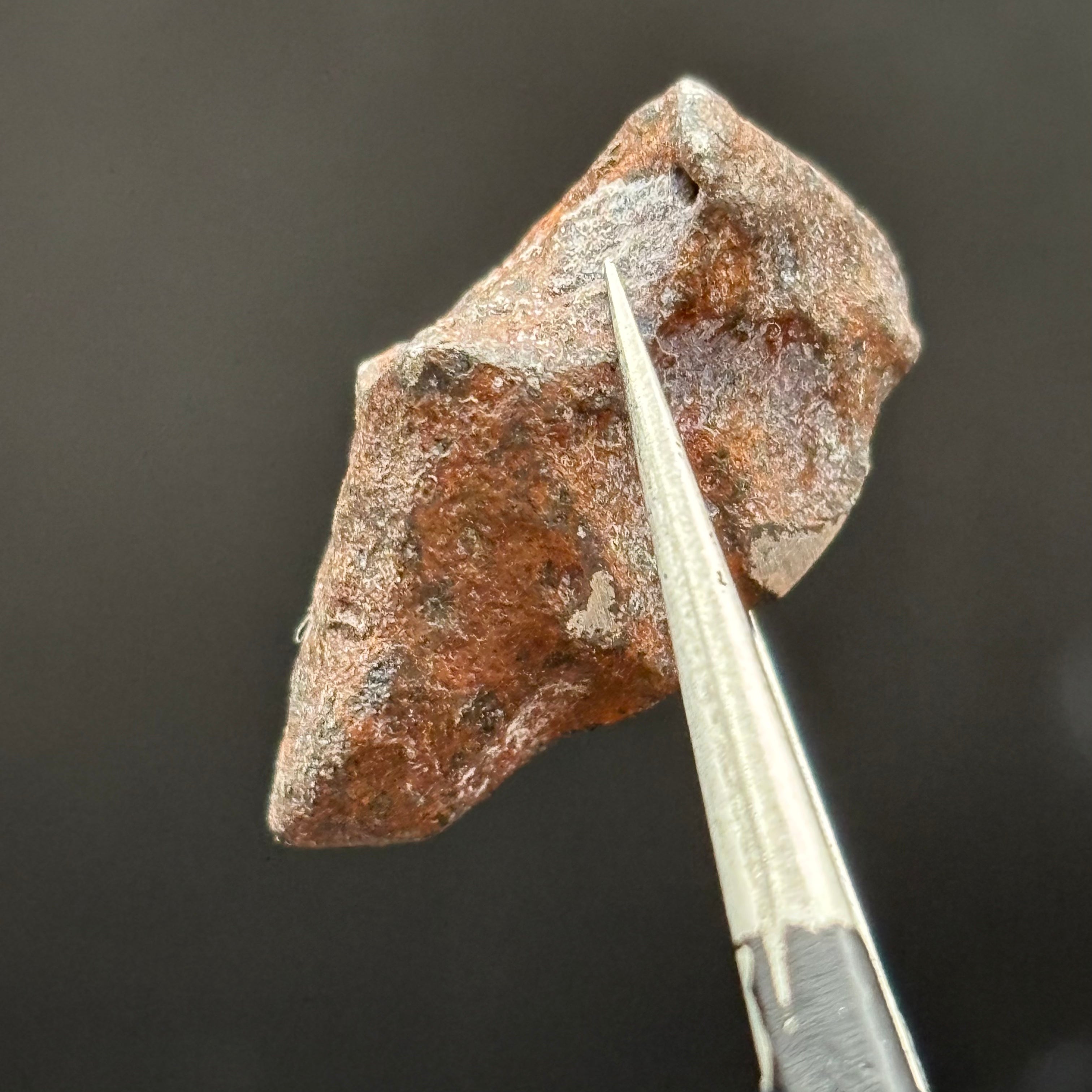 Meteorite, Half-Polished - 030