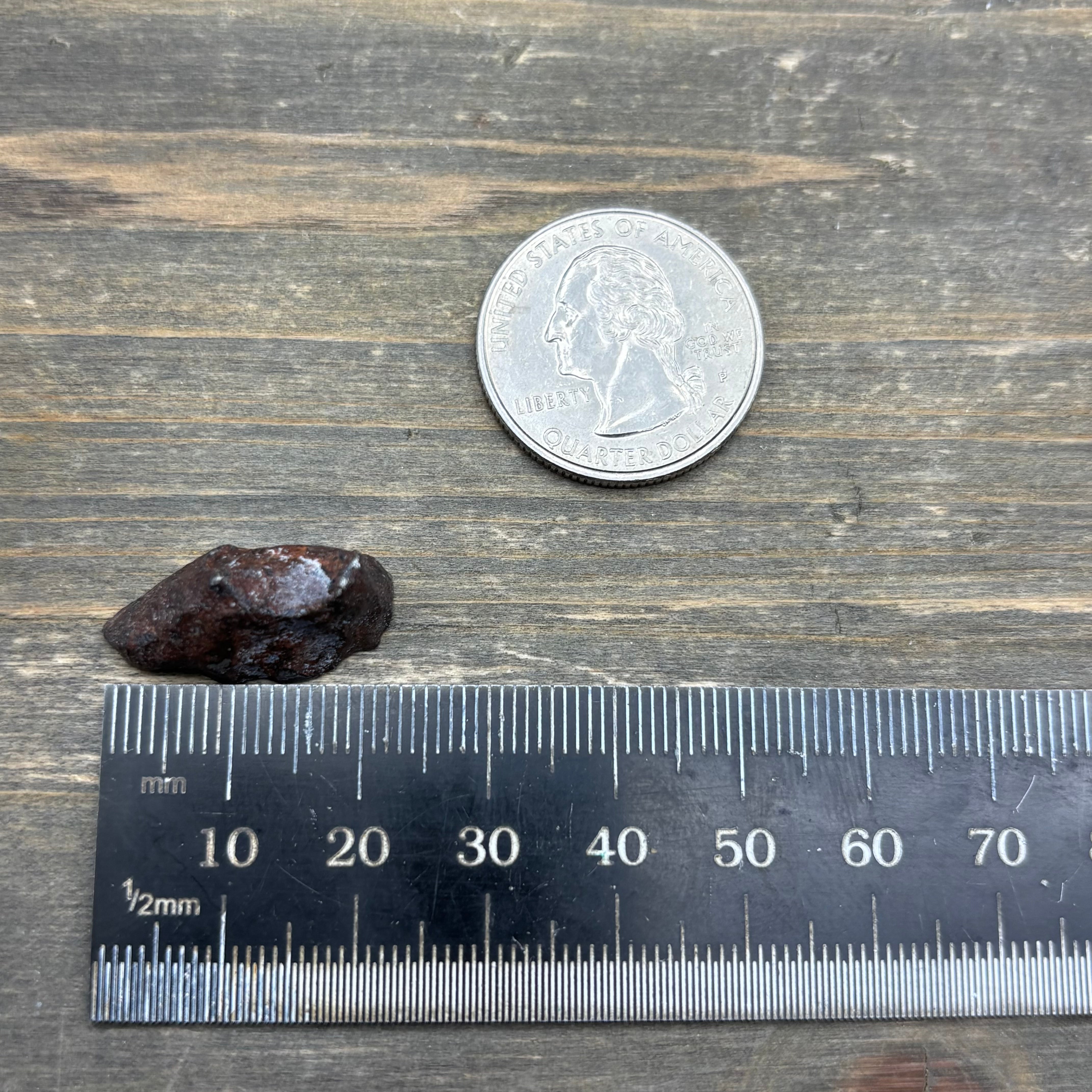 Meteorite, Half-Polished - 030