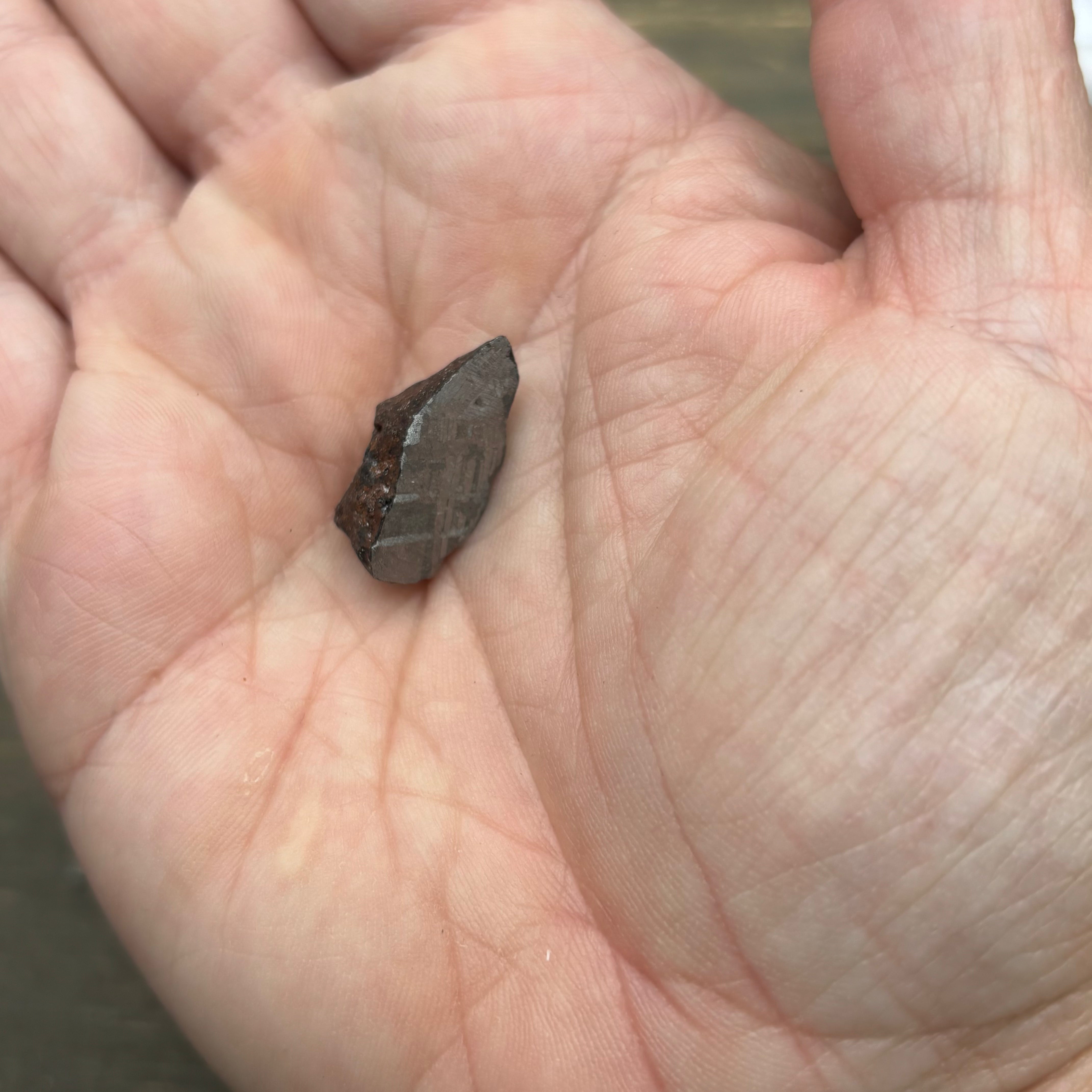 Meteorite, Half-Polished - 030