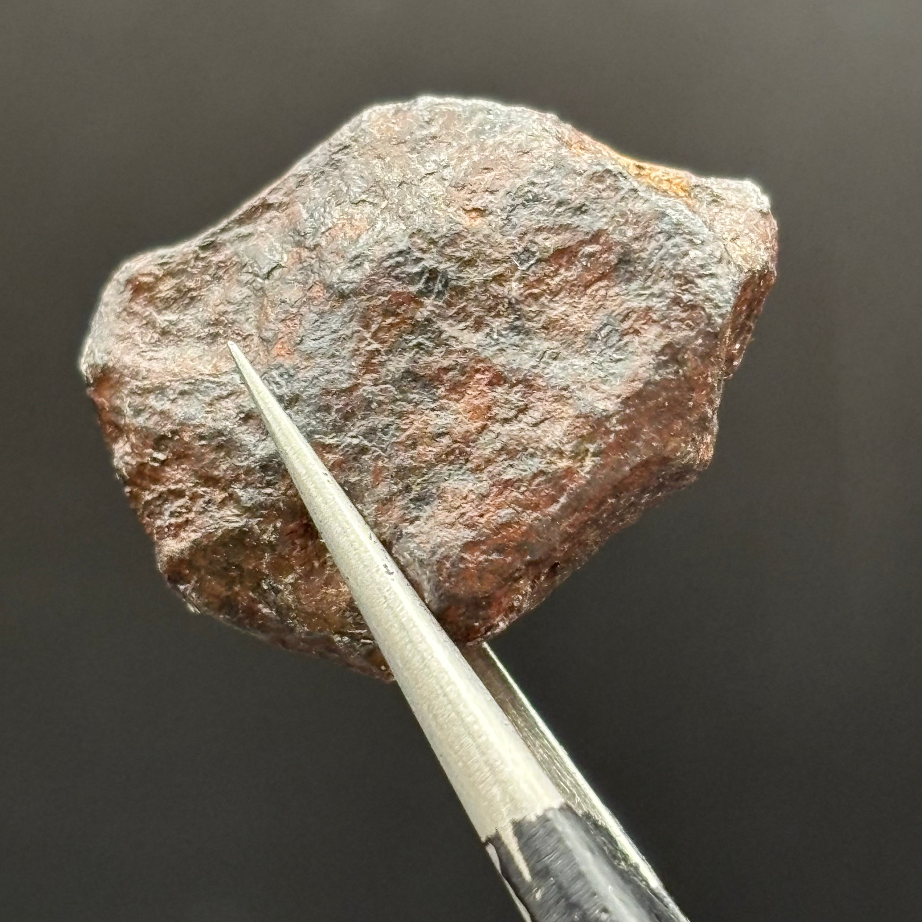 Meteorite, Half-Polished - 032