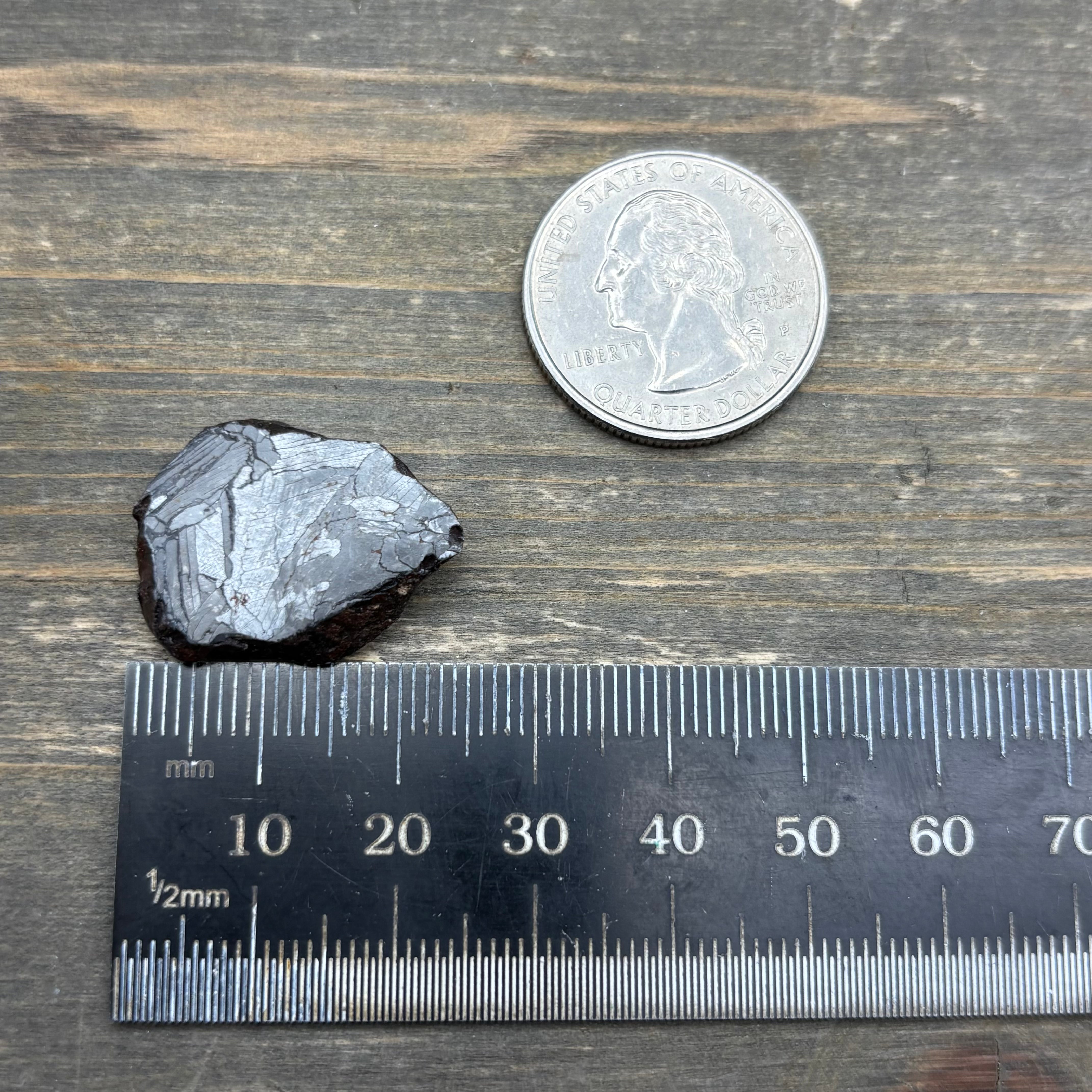 Meteorite, Half-Polished - 032