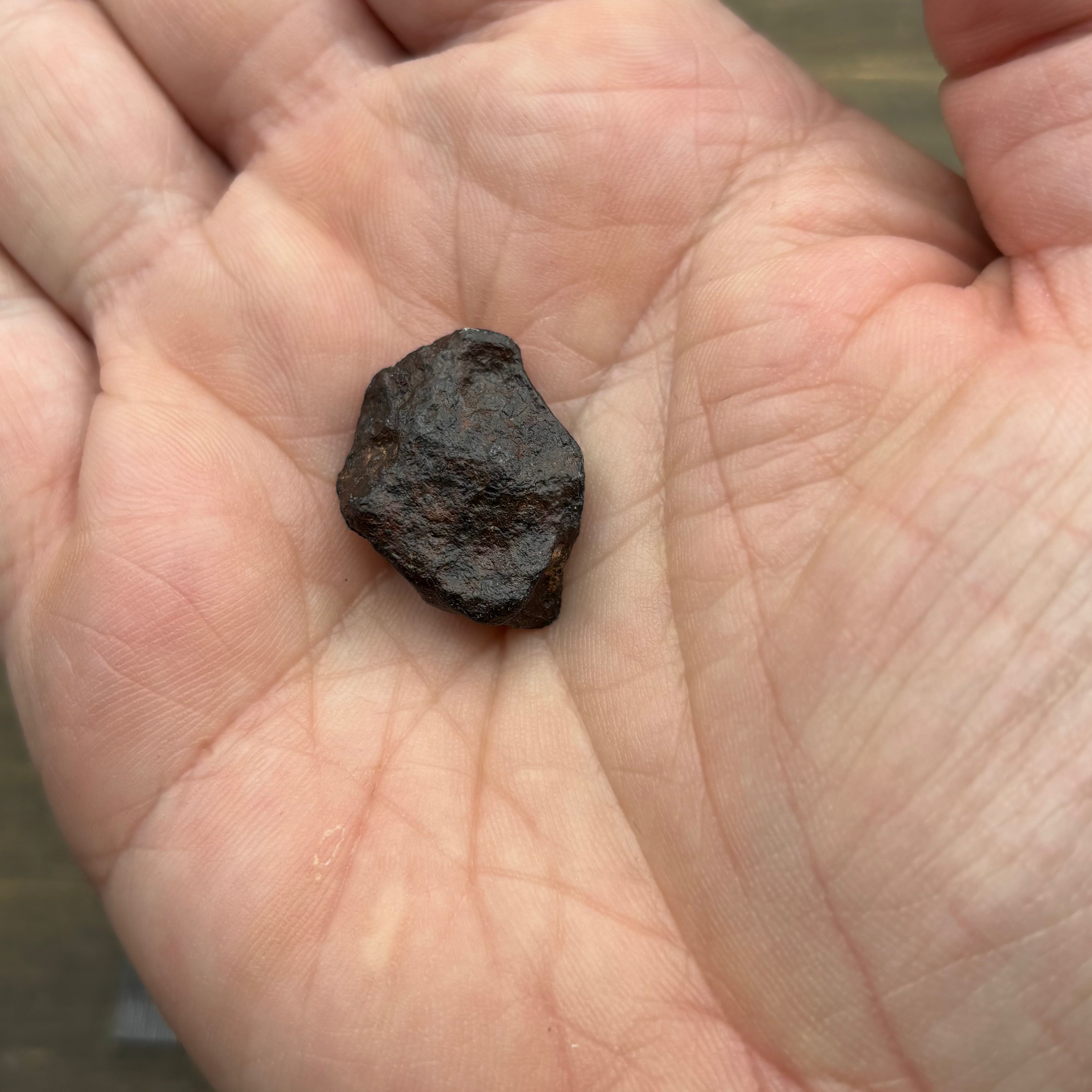 Meteorite, Half-Polished - 032