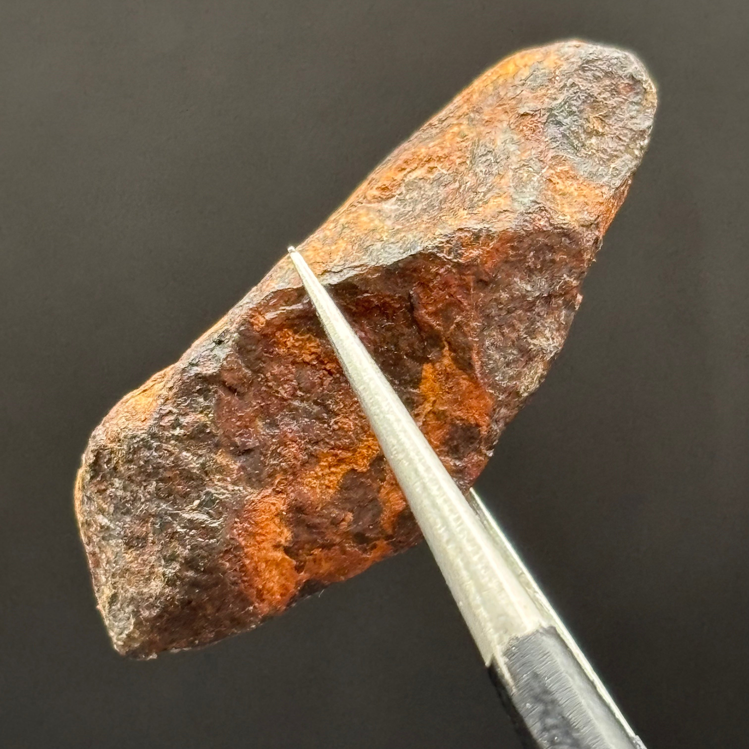Meteorite, Half-Polished - 033