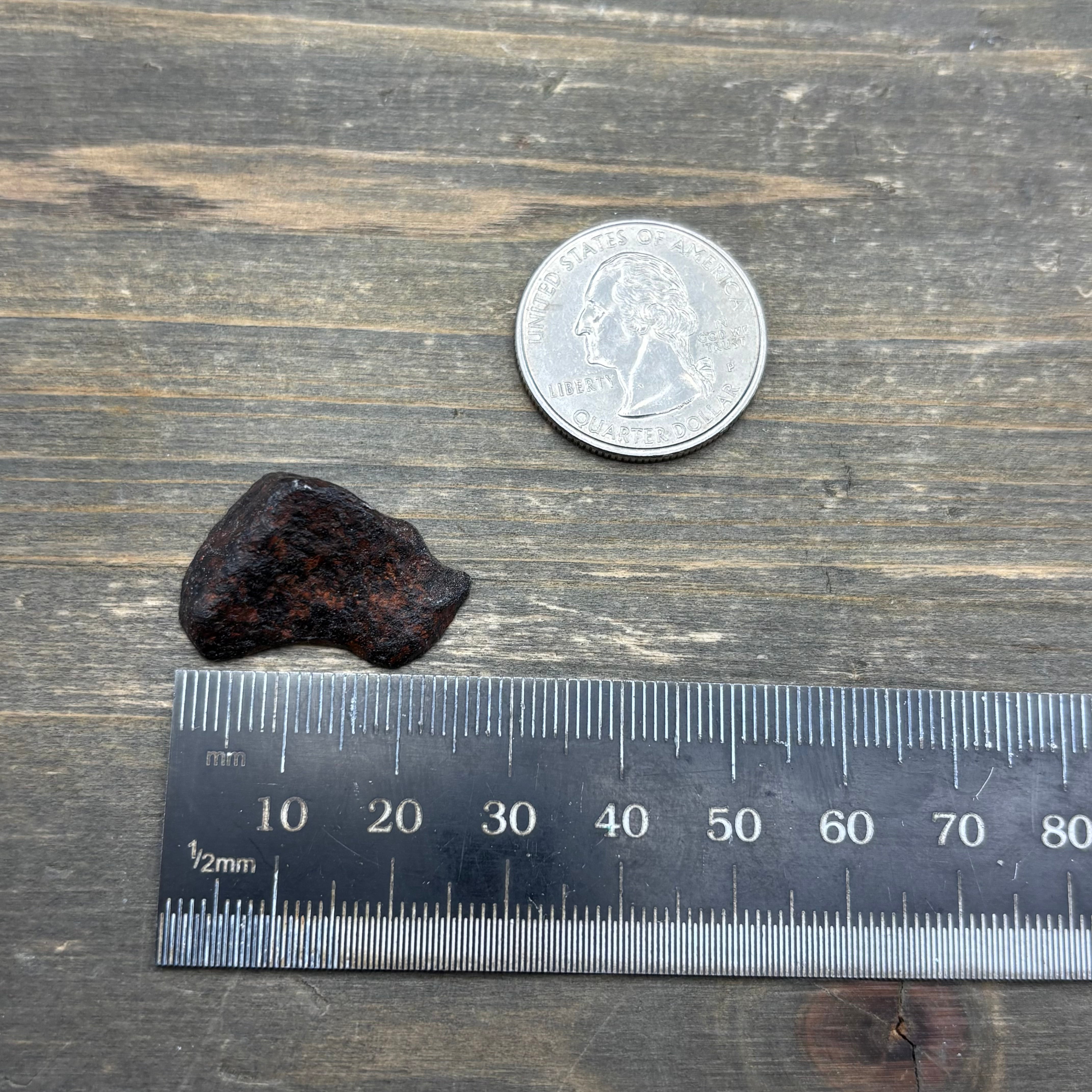 Meteorite, Half-Polished - 035