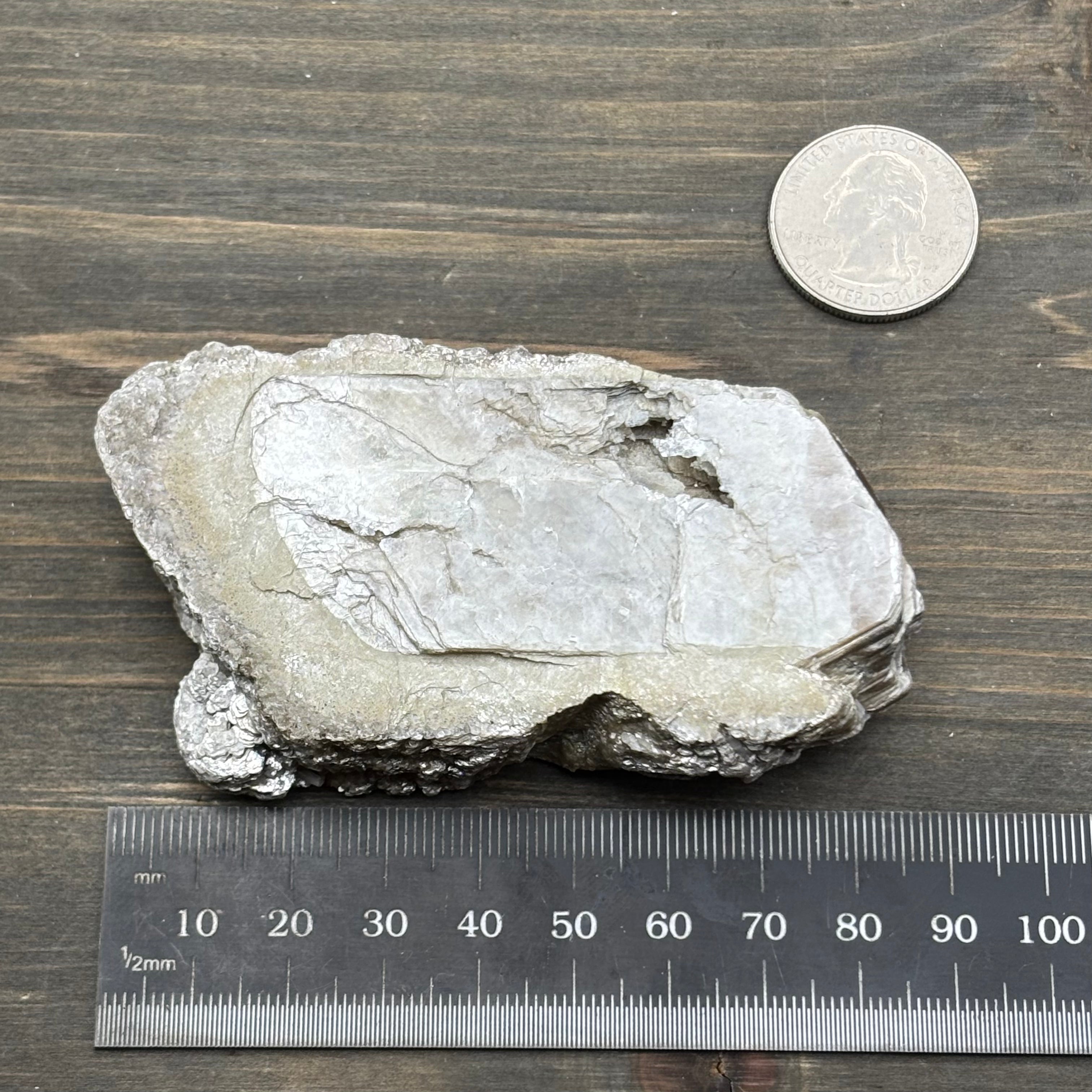 Green Gold Mica - 008