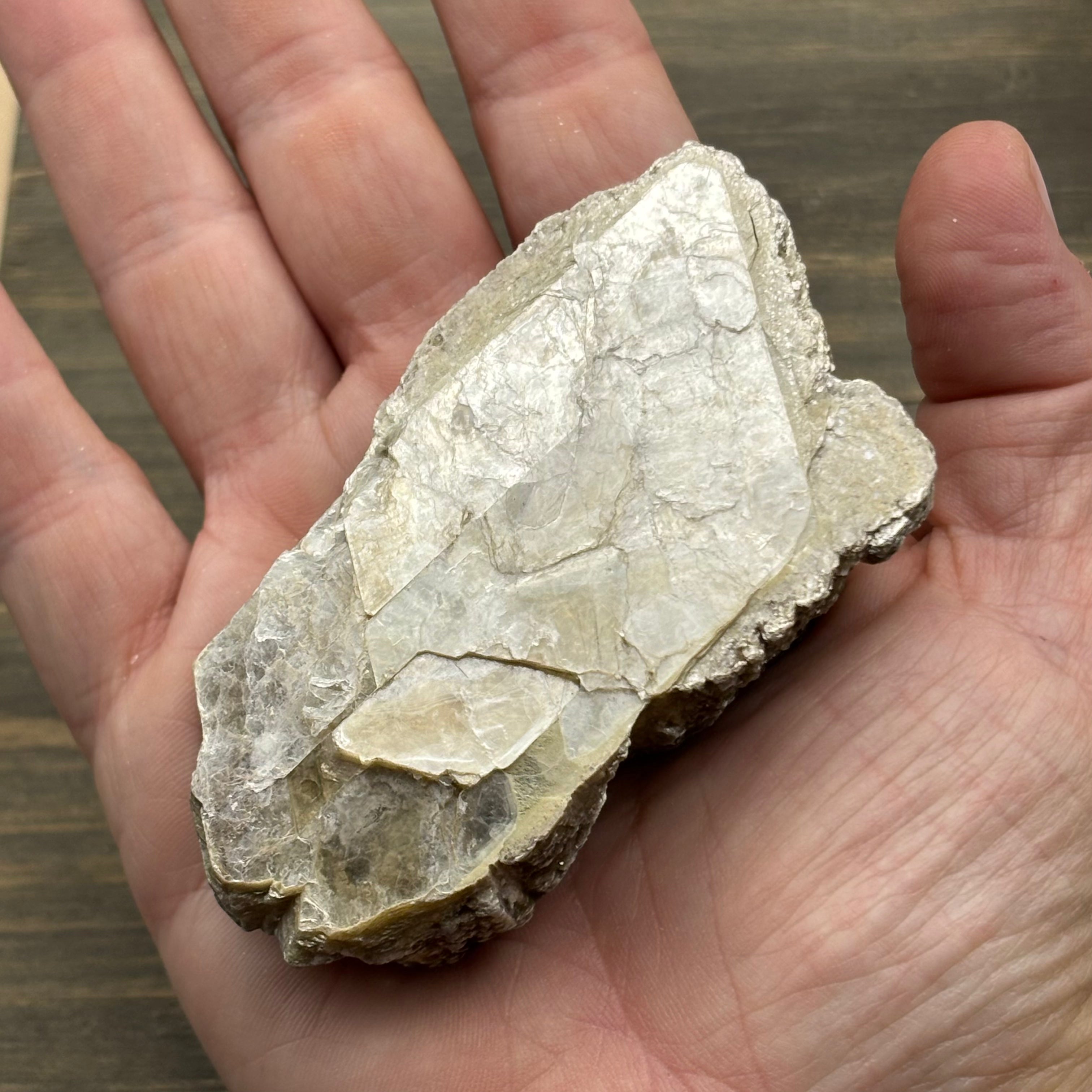 Green Gold Mica - 008
