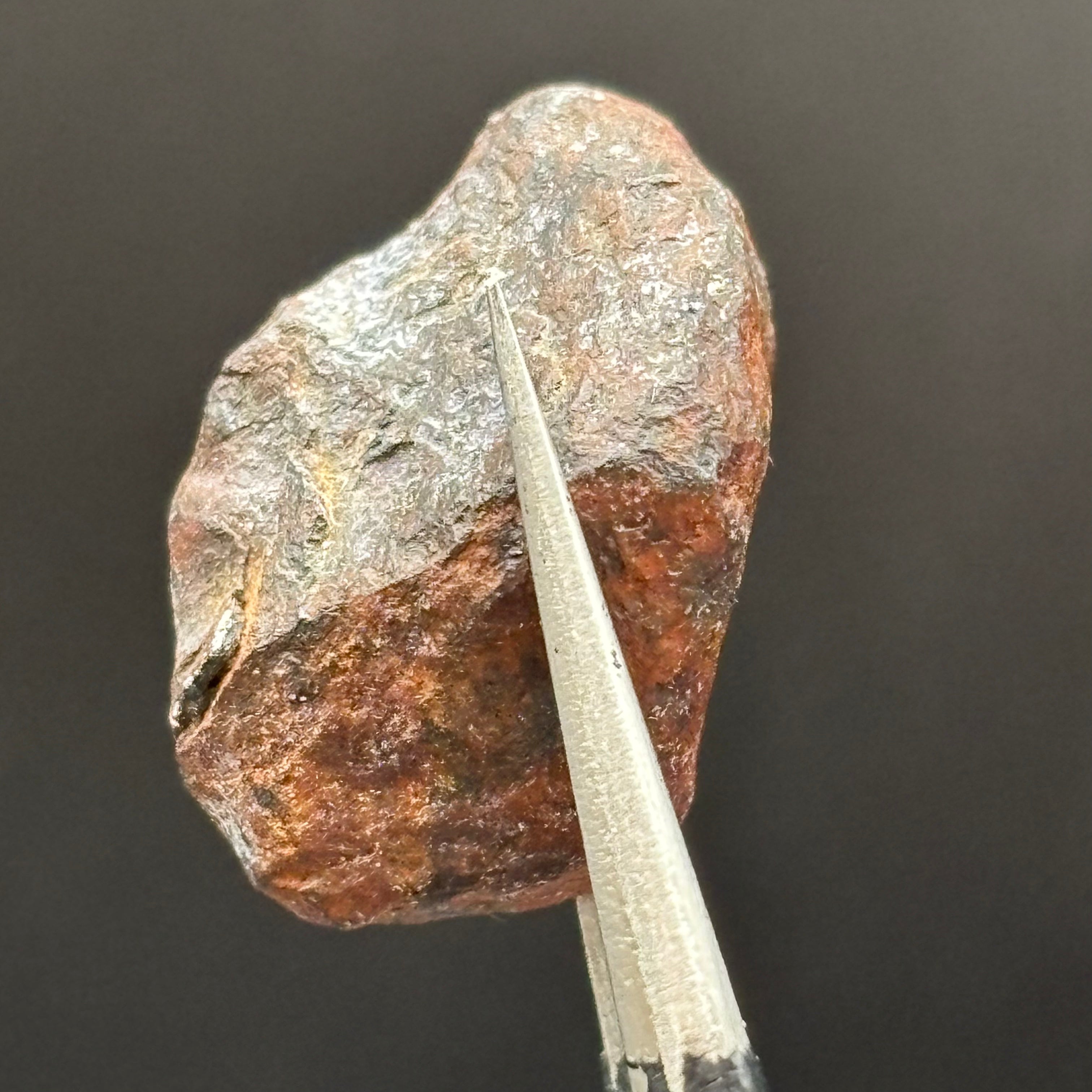 Meteorite, Half-Polished - 036
