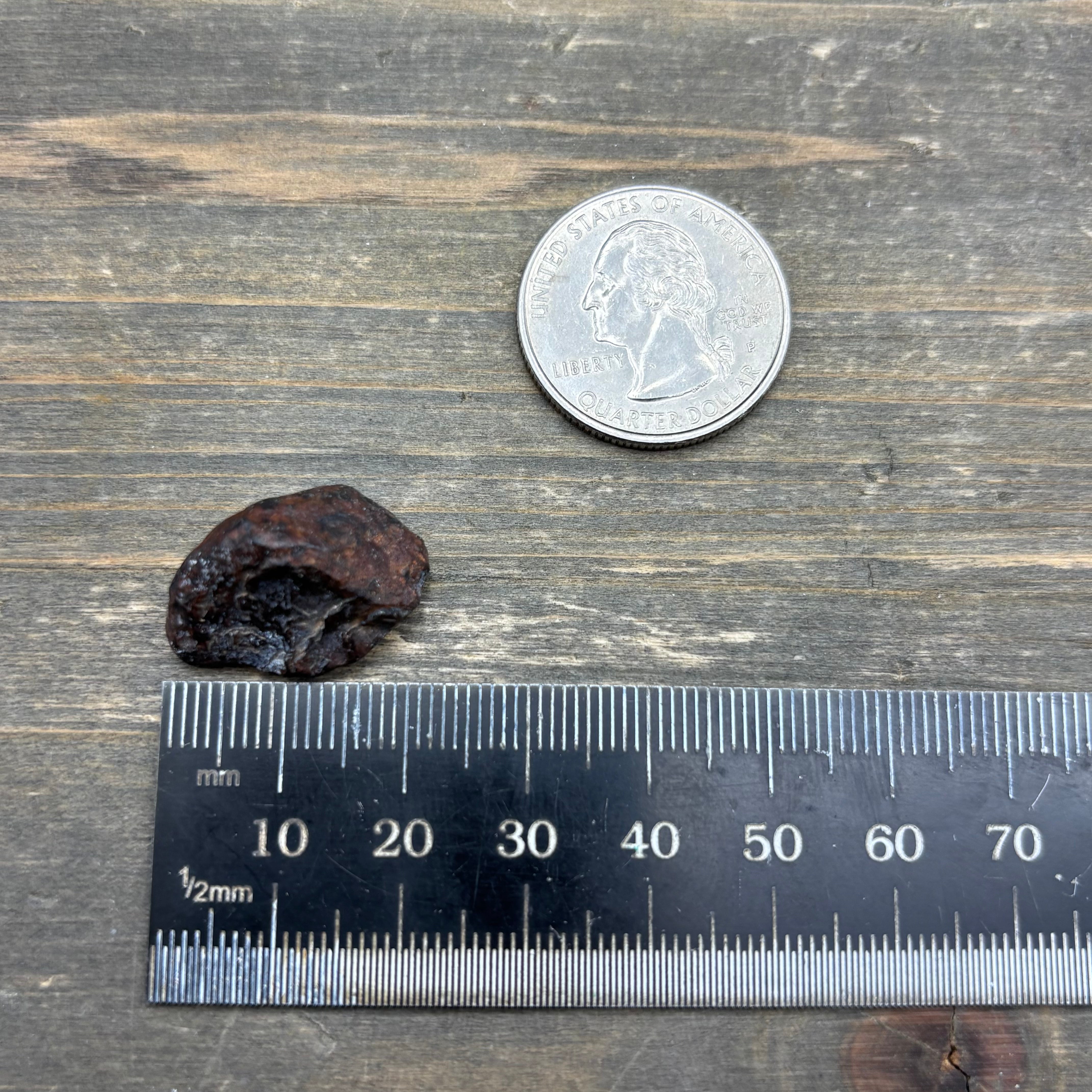 Meteorite, Half-Polished - 036