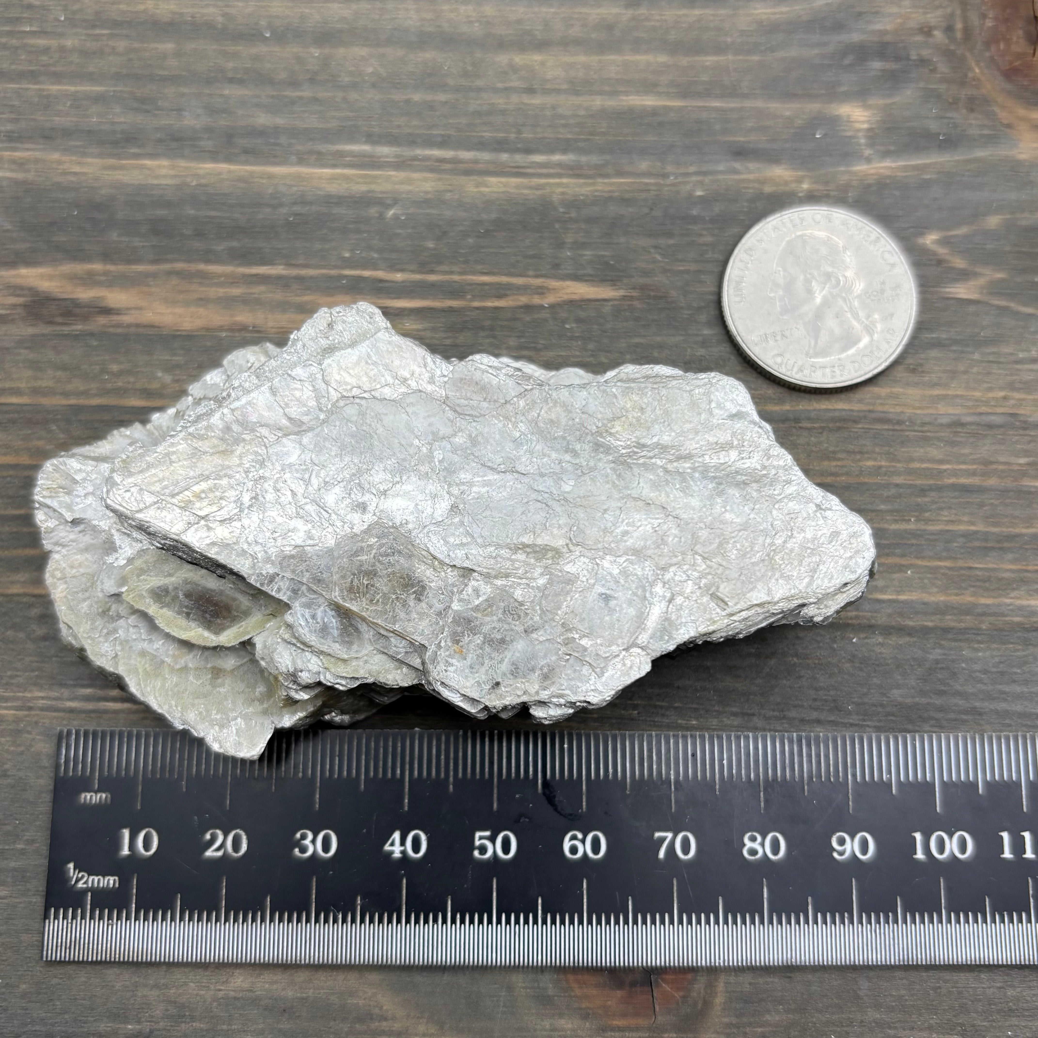 Green Gold Mica - 009