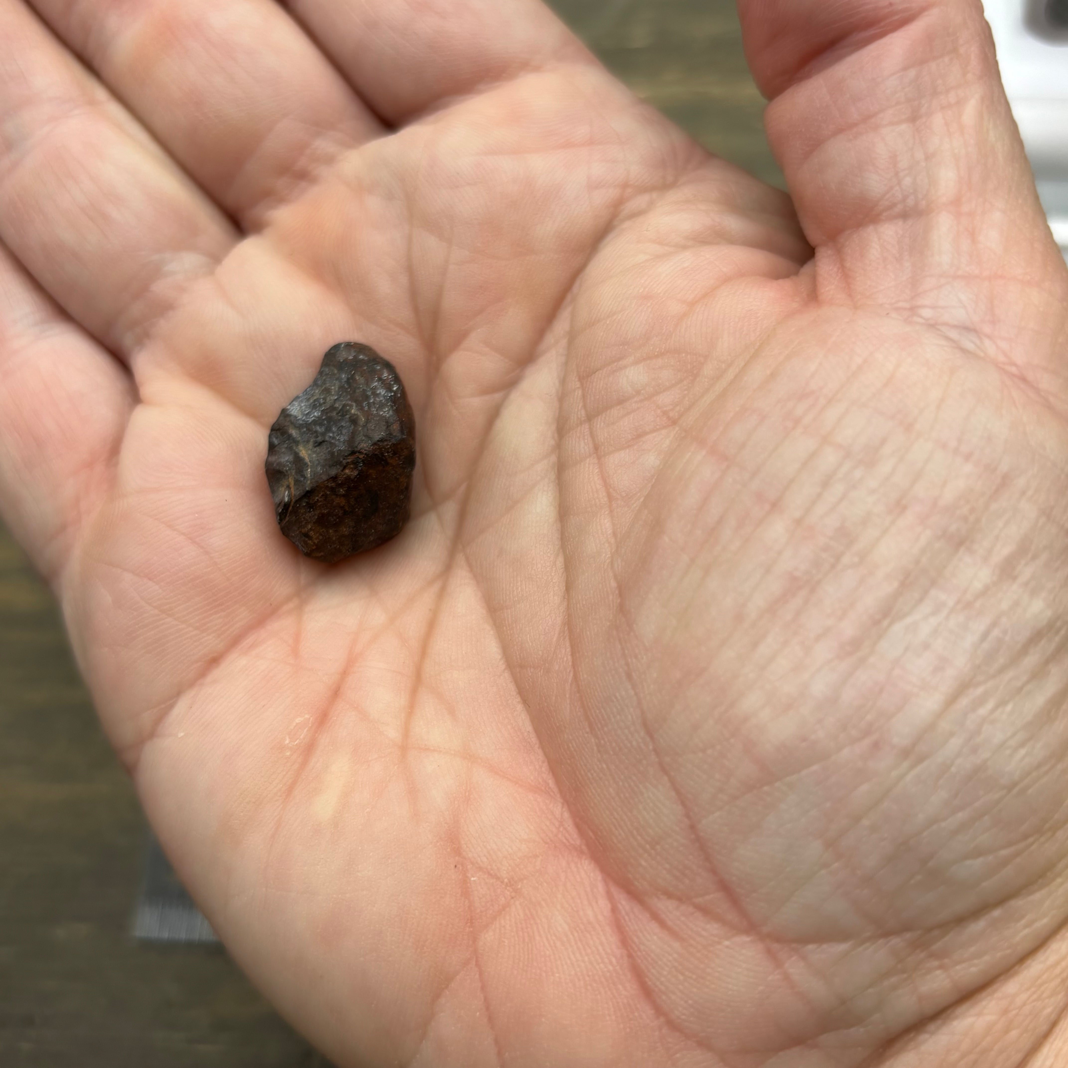 Meteorite, Half-Polished - 036