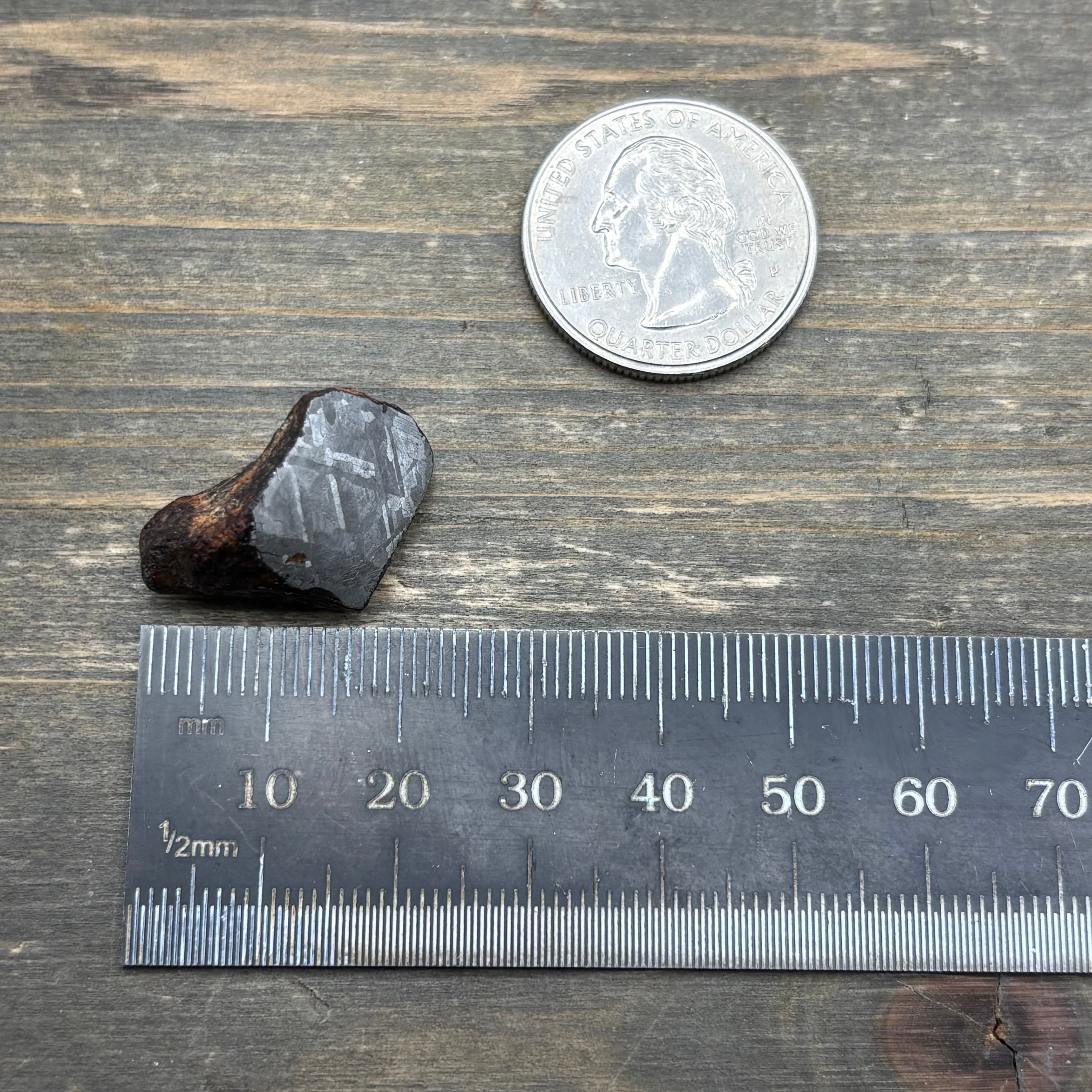 Meteorite, Half-Polished - 038