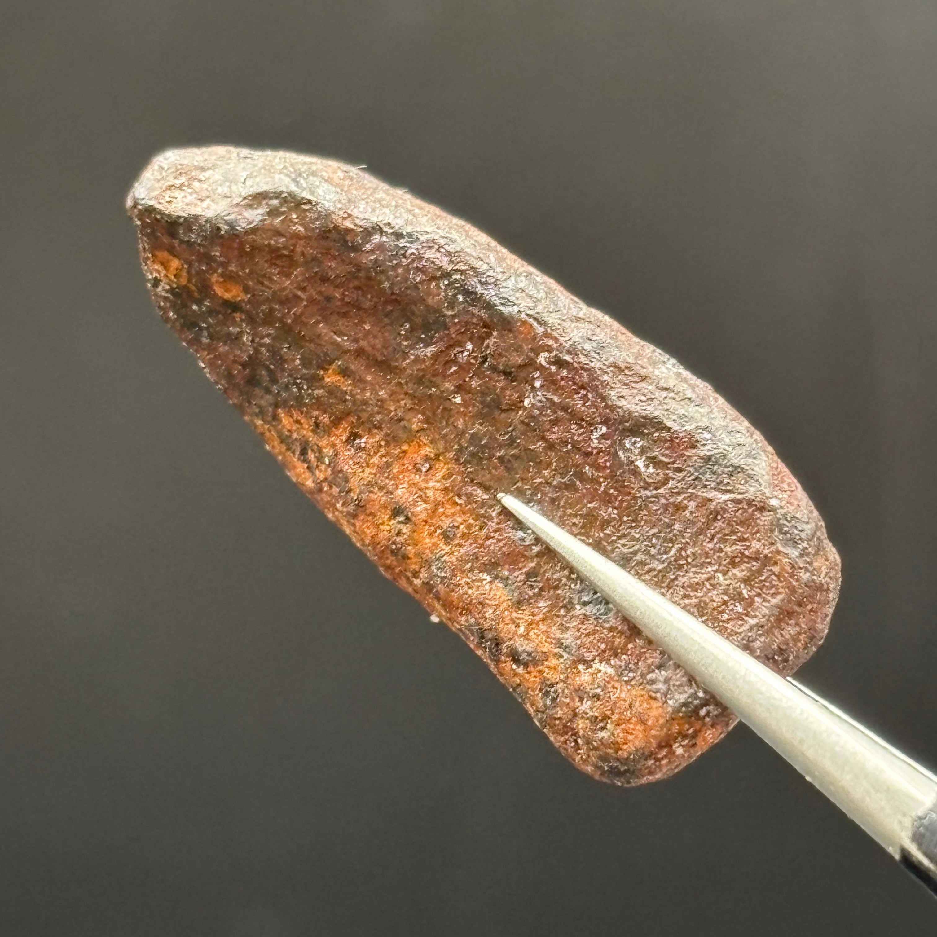Meteorite, Half-Polished - 039