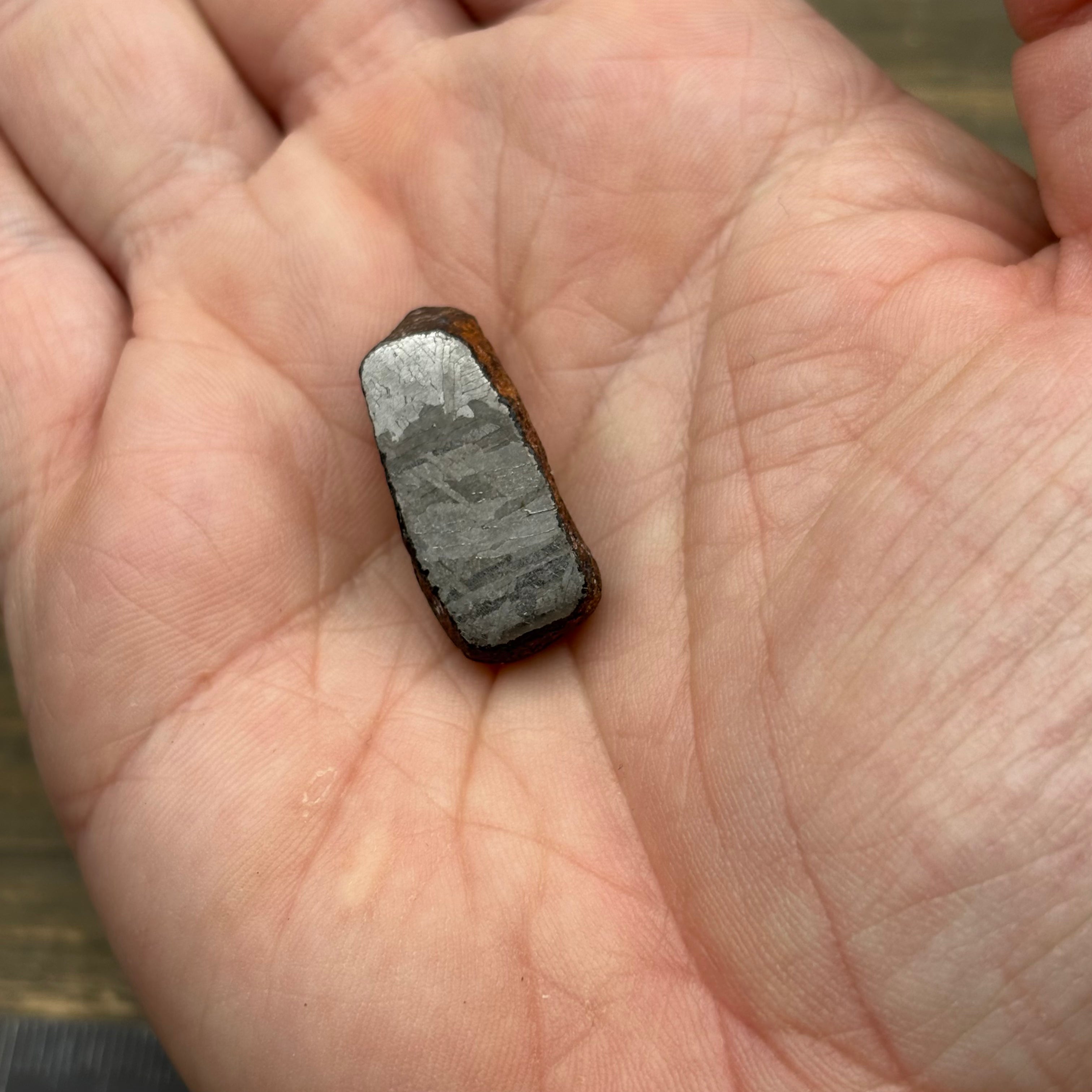 Meteorite, Half-Polished - 039
