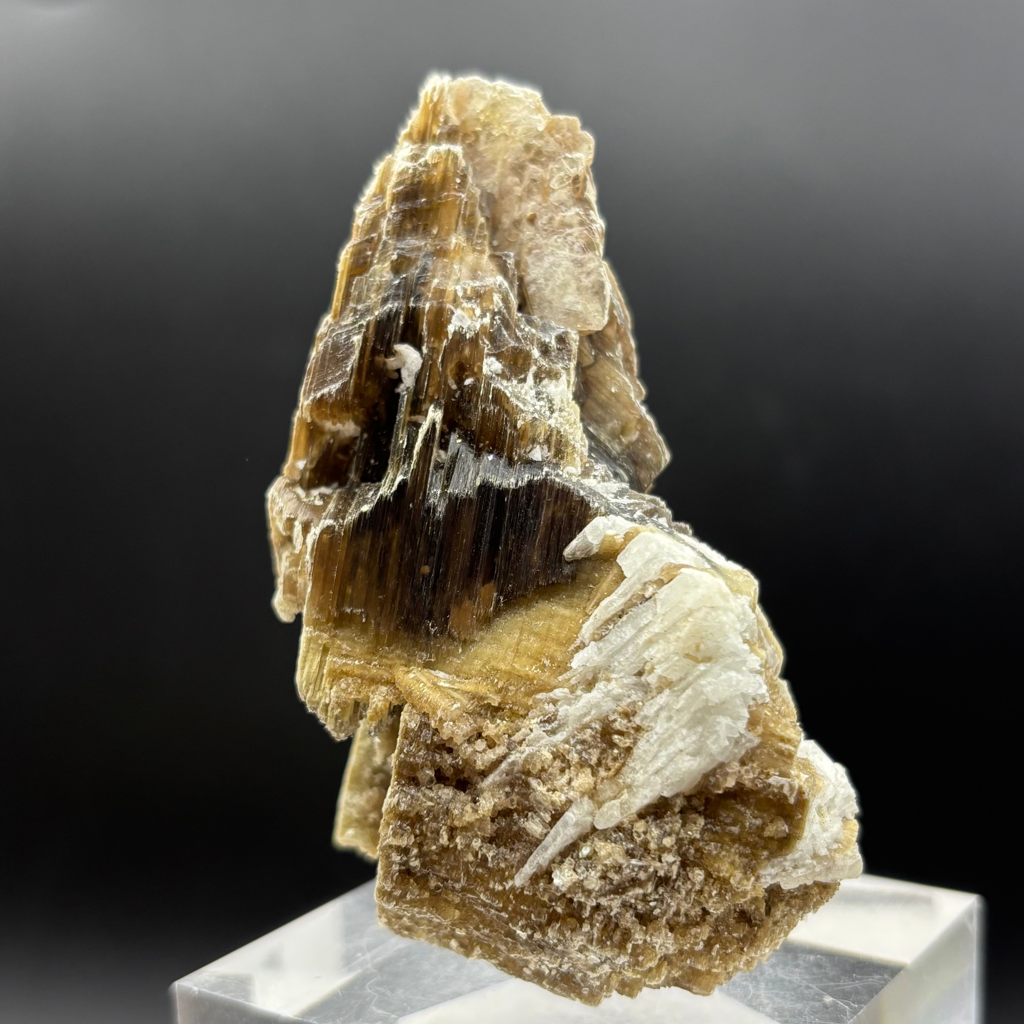 Green Gold Mica - 013