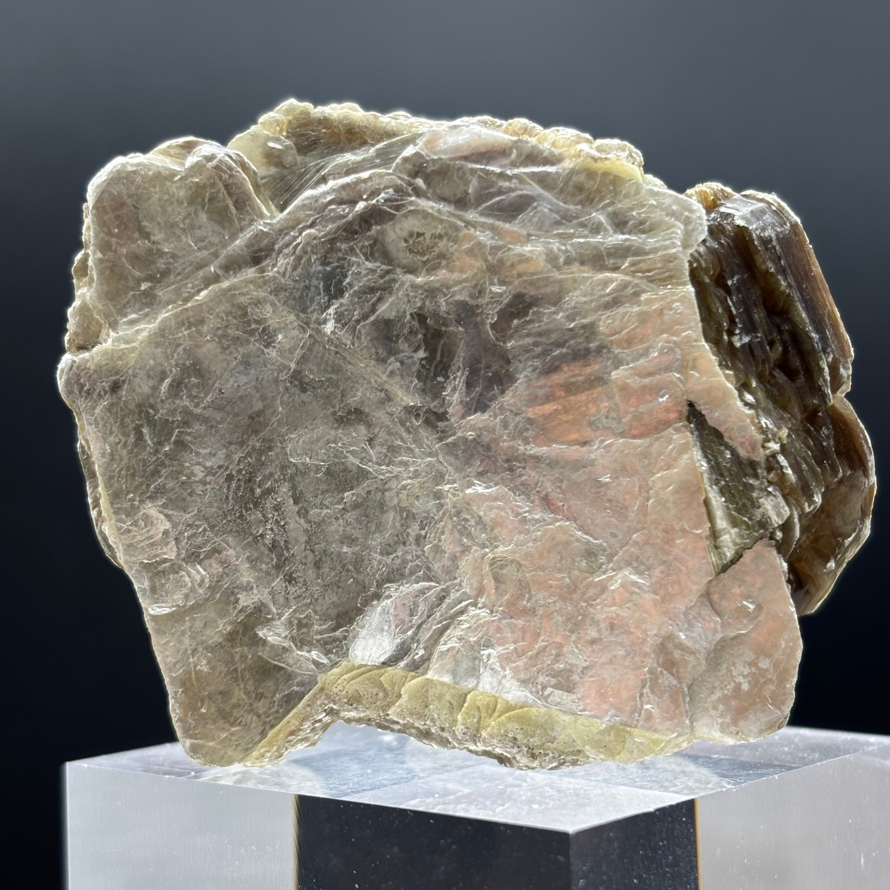 Green Gold Mica - 019