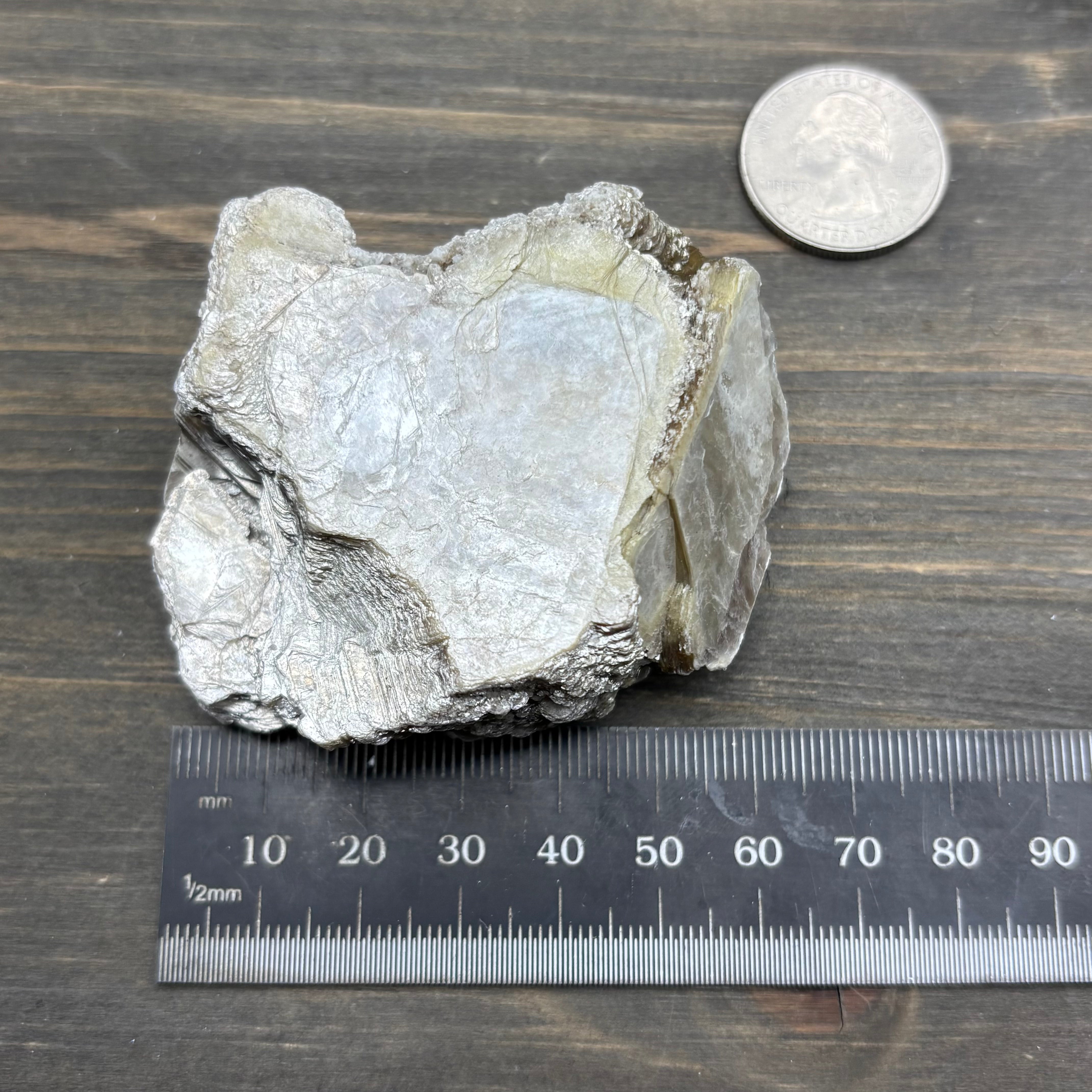 Green Gold Mica - 019