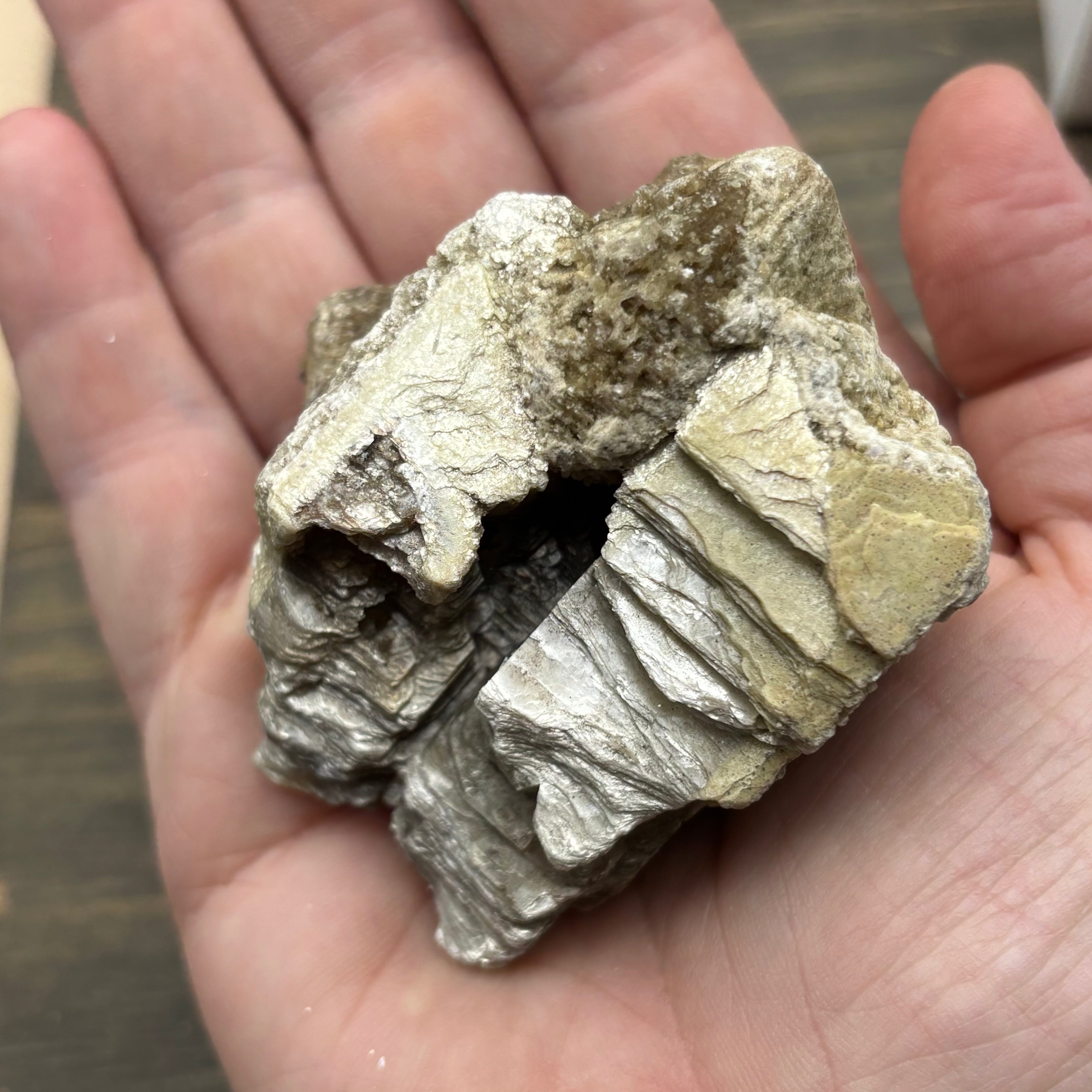 Green Gold Mica - 033