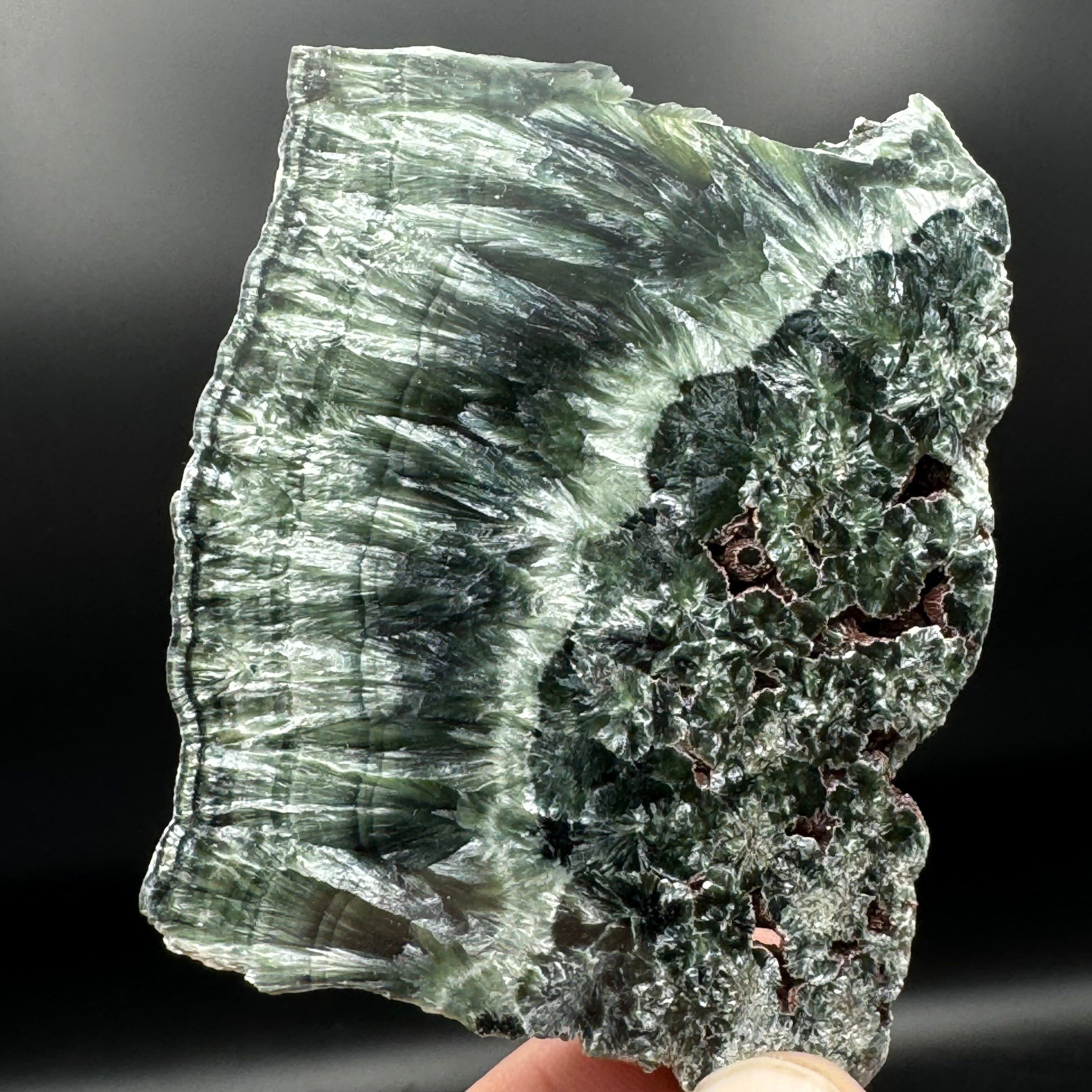 Seraphinite - 001