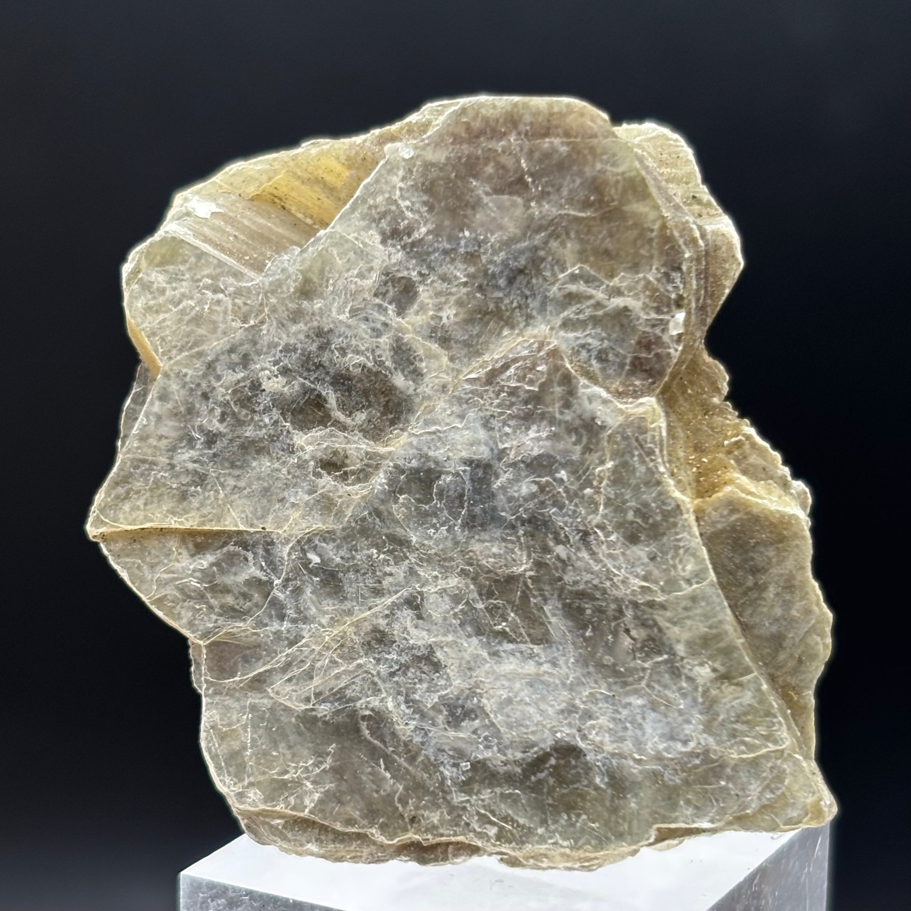 Green Gold Mica - 040