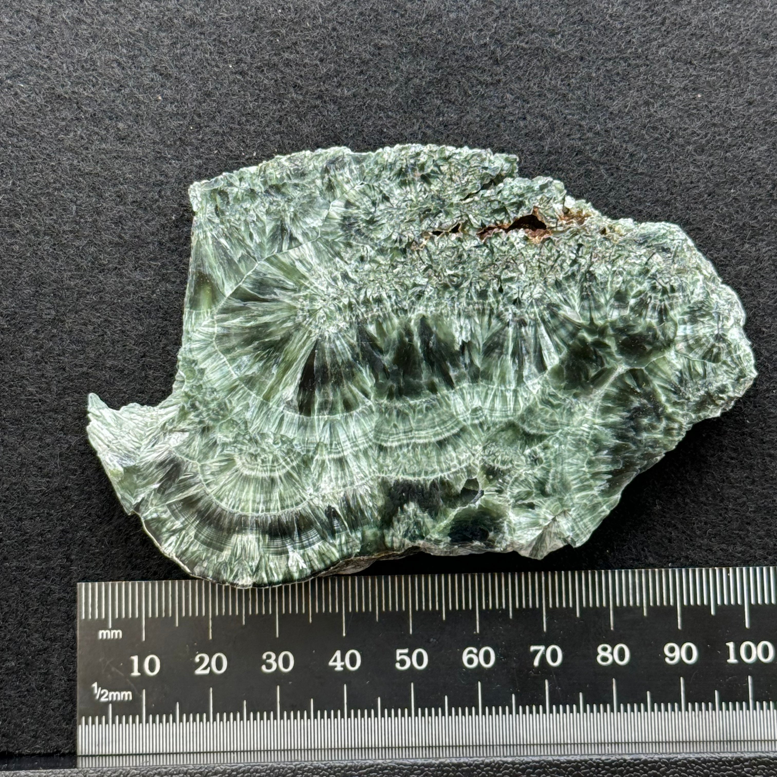 Seraphinite - 012