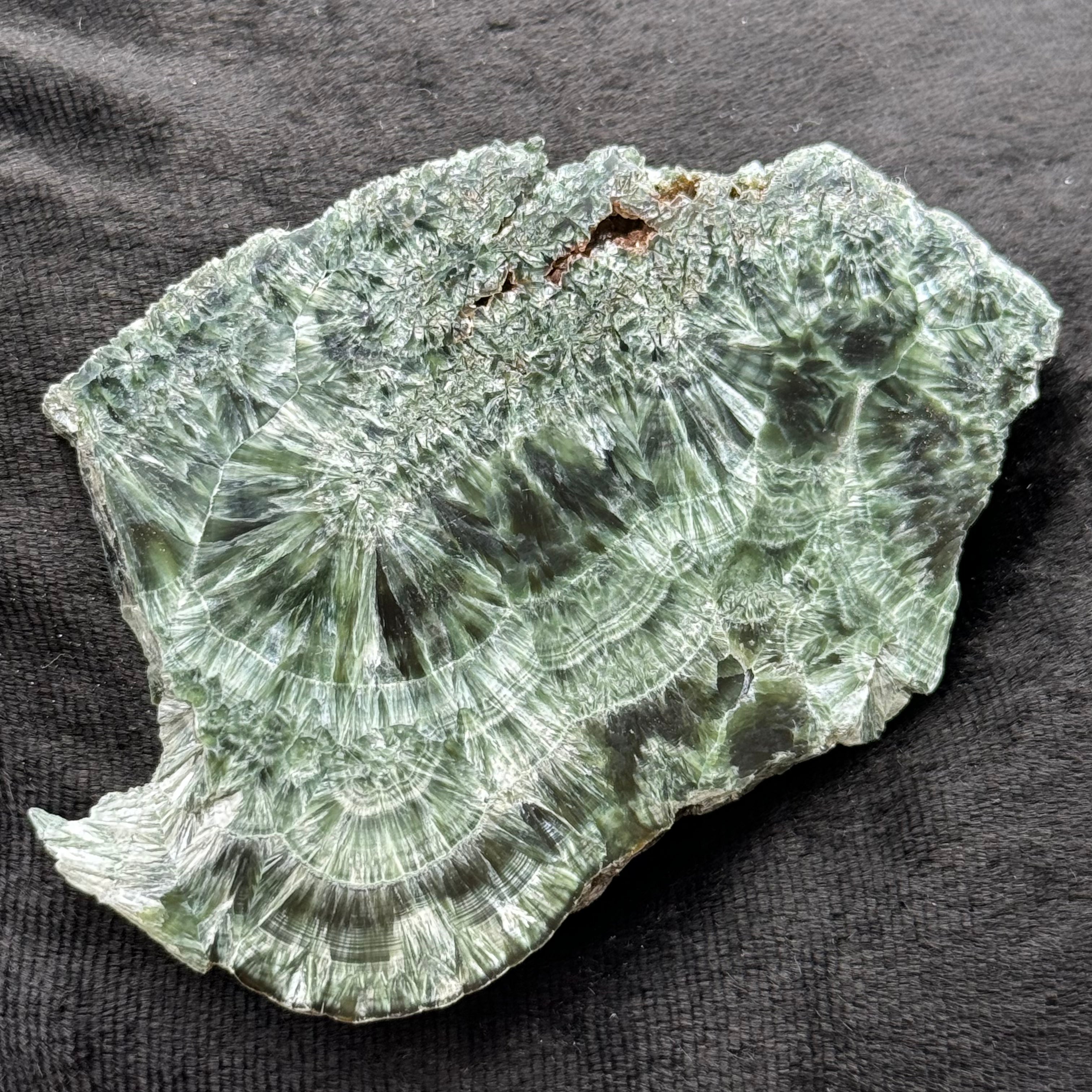 Seraphinite - 012