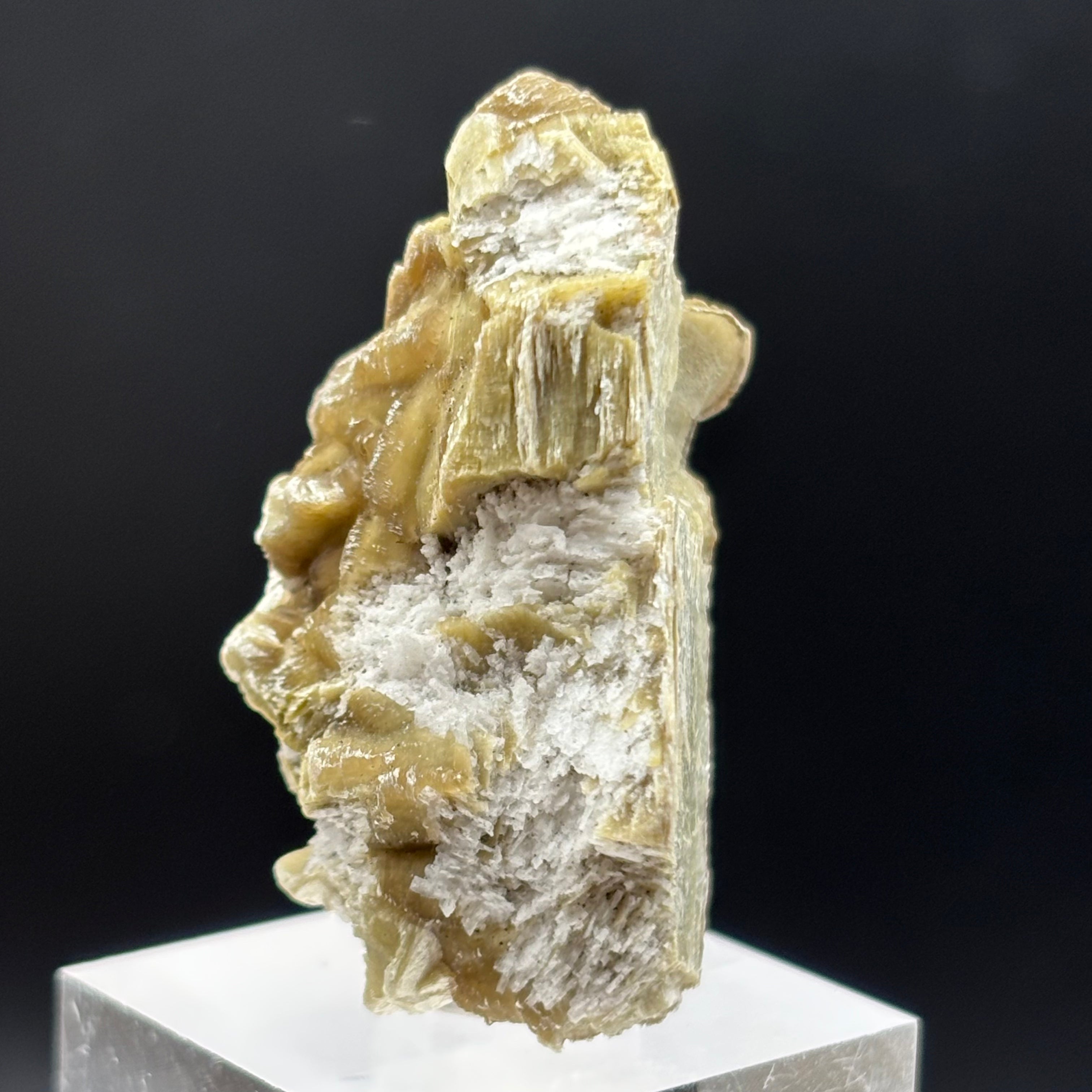 Green Gold Mica - 047
