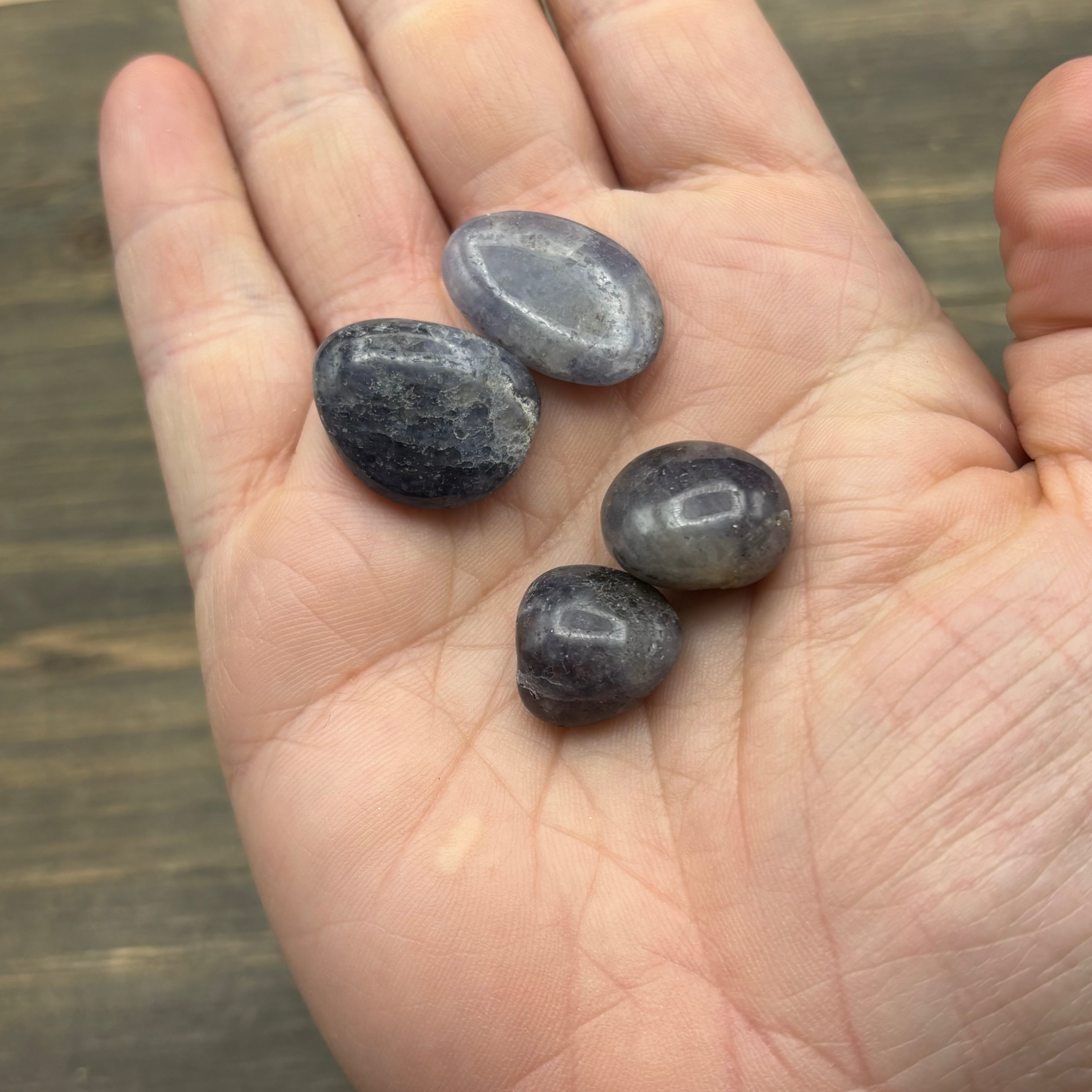 Iolite, Polished - Kit of 2