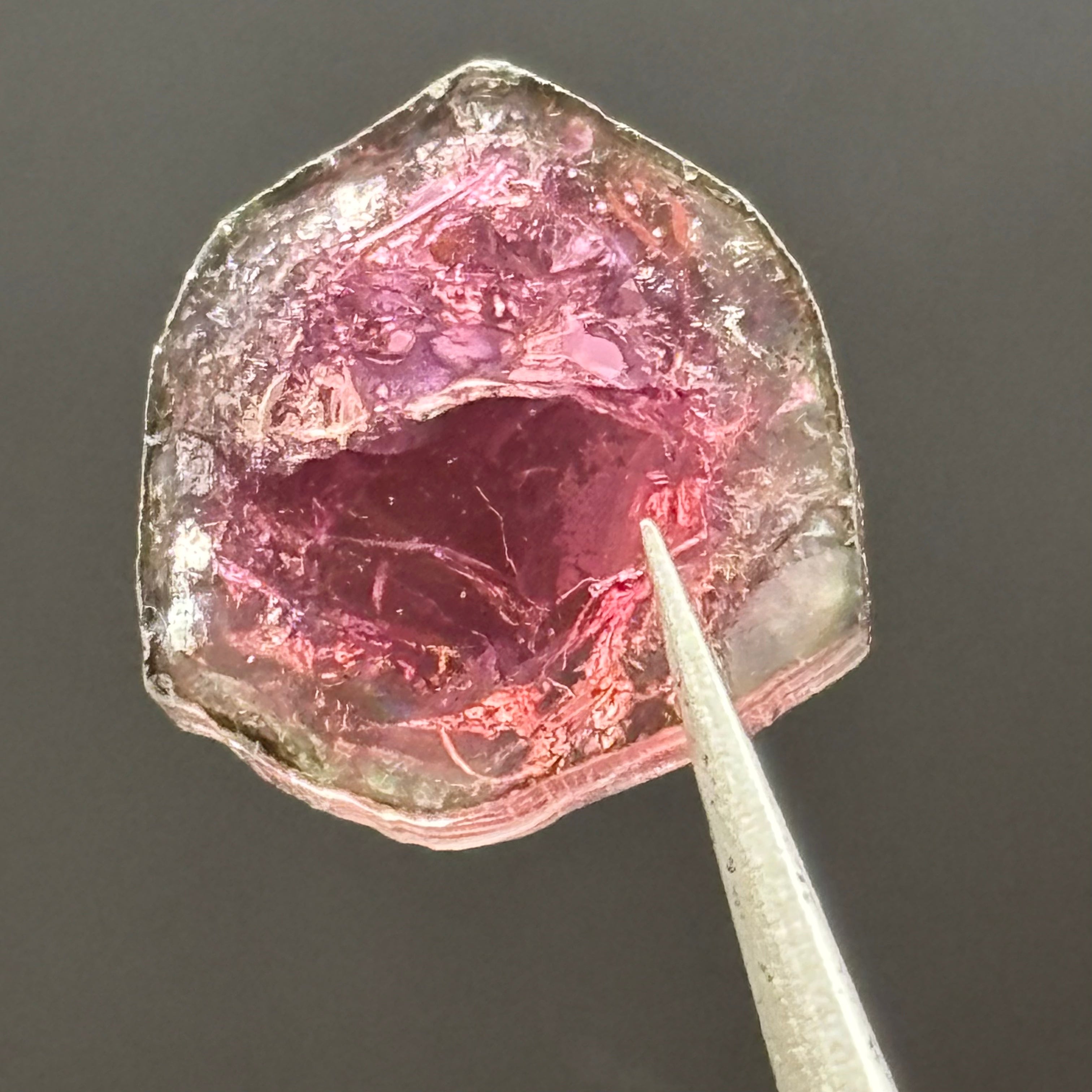 Watermelon Tourmaline Cryoss-Section - 073