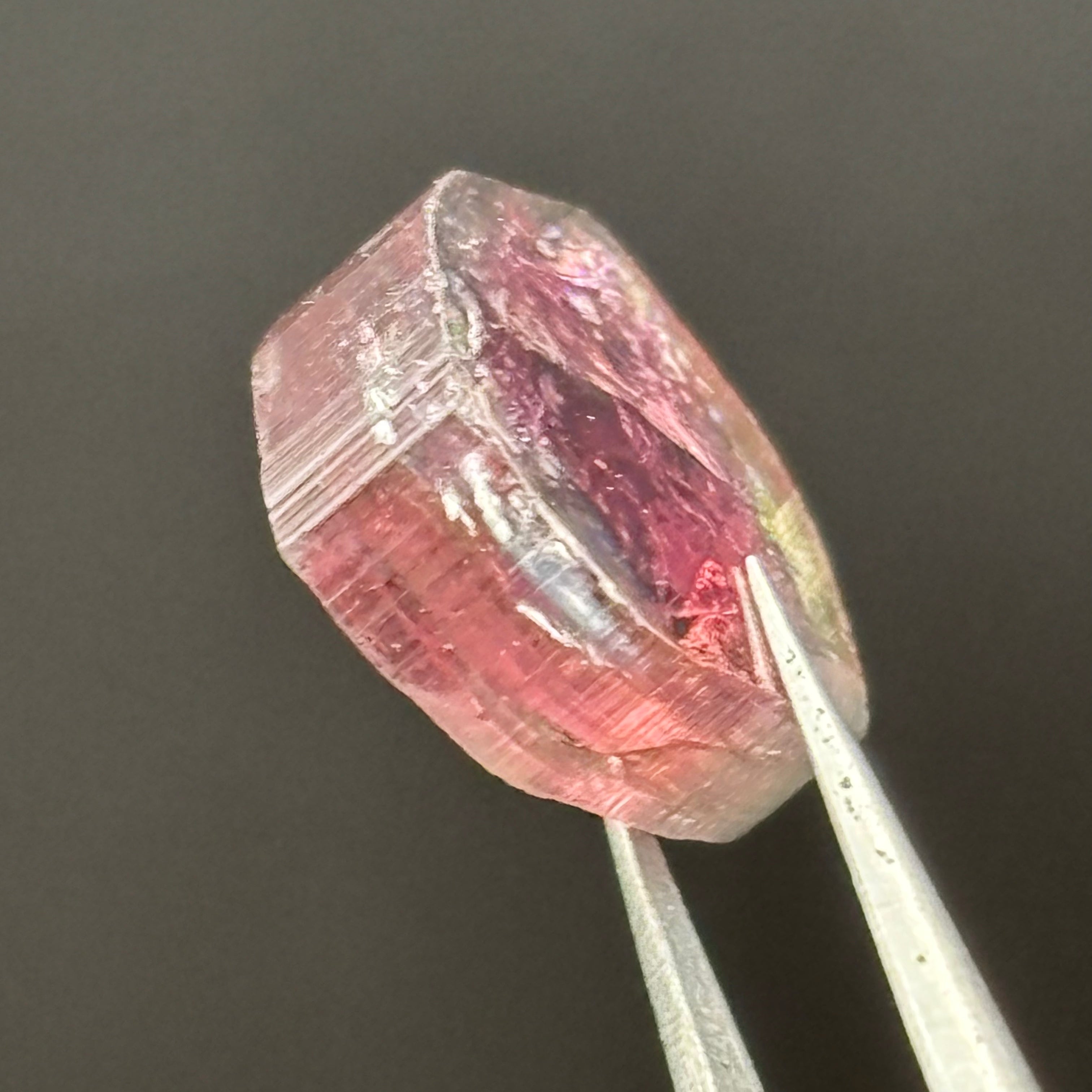 Watermelon Tourmaline Cryoss-Section - 073